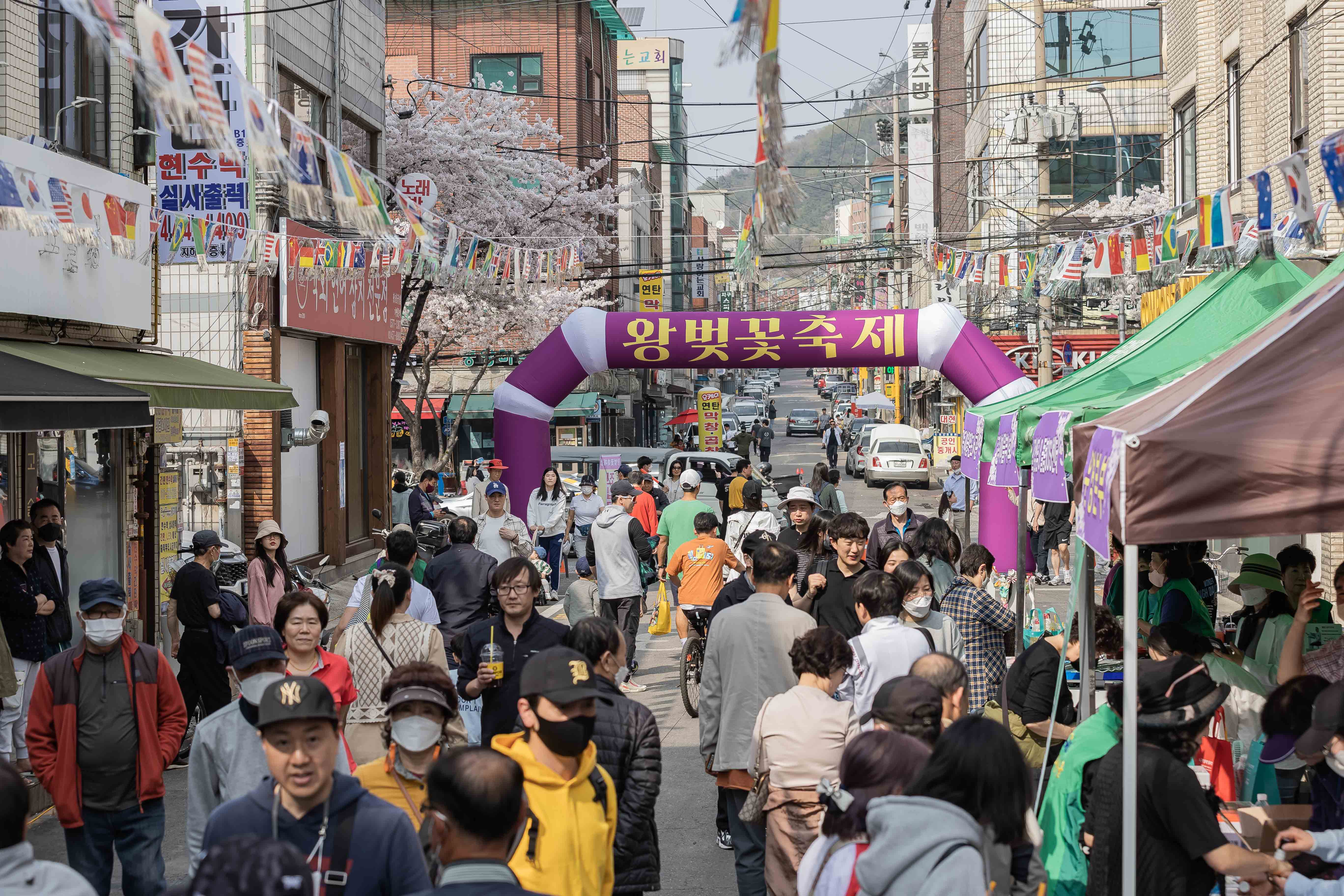 20230401-중곡2동 긴고랑 왕벚꽃 축제 230401-0510_G_173555.jpg