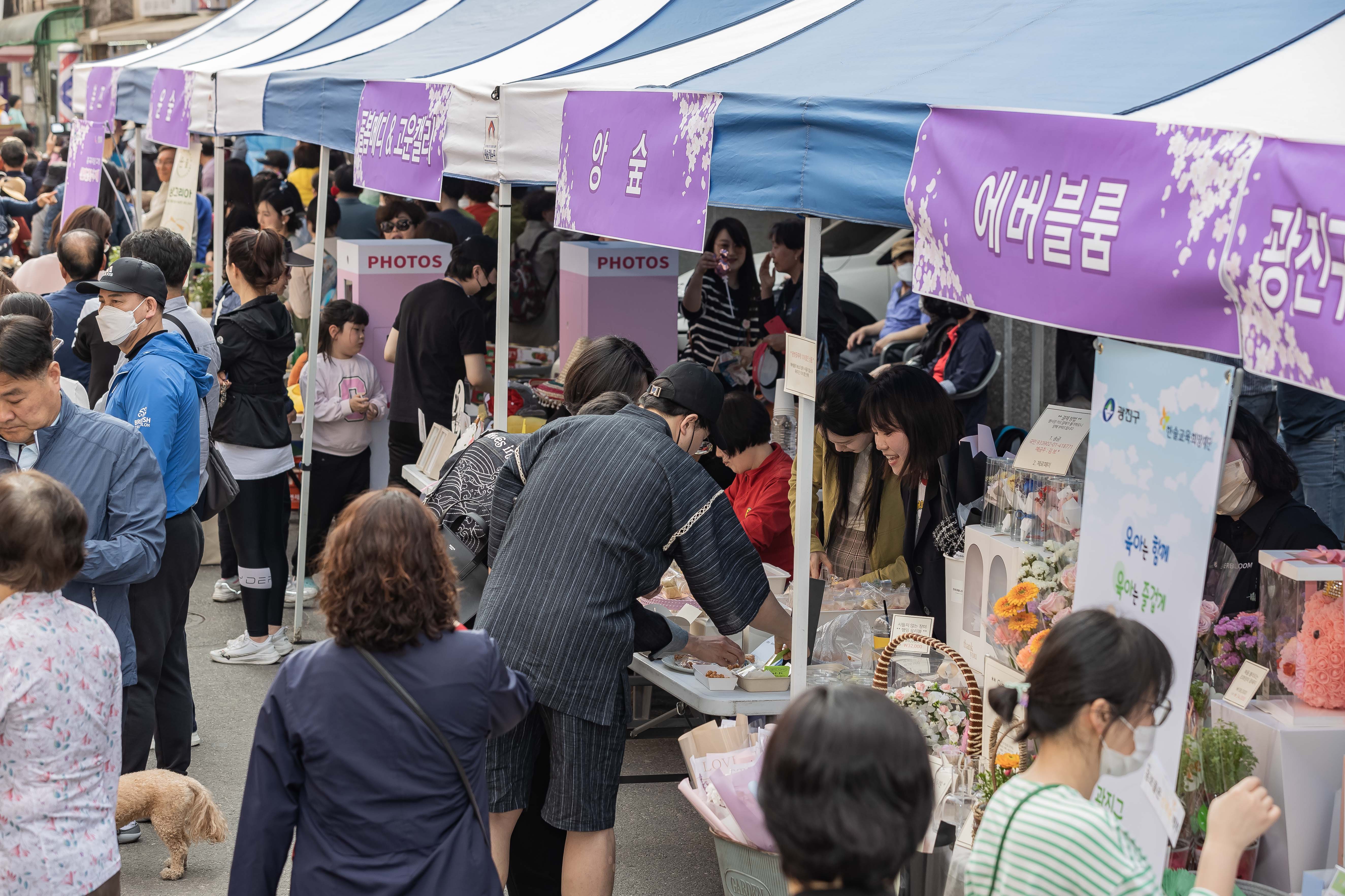 20230401-중곡2동 긴고랑 왕벚꽃 축제 230401-0512_G_173555.jpg