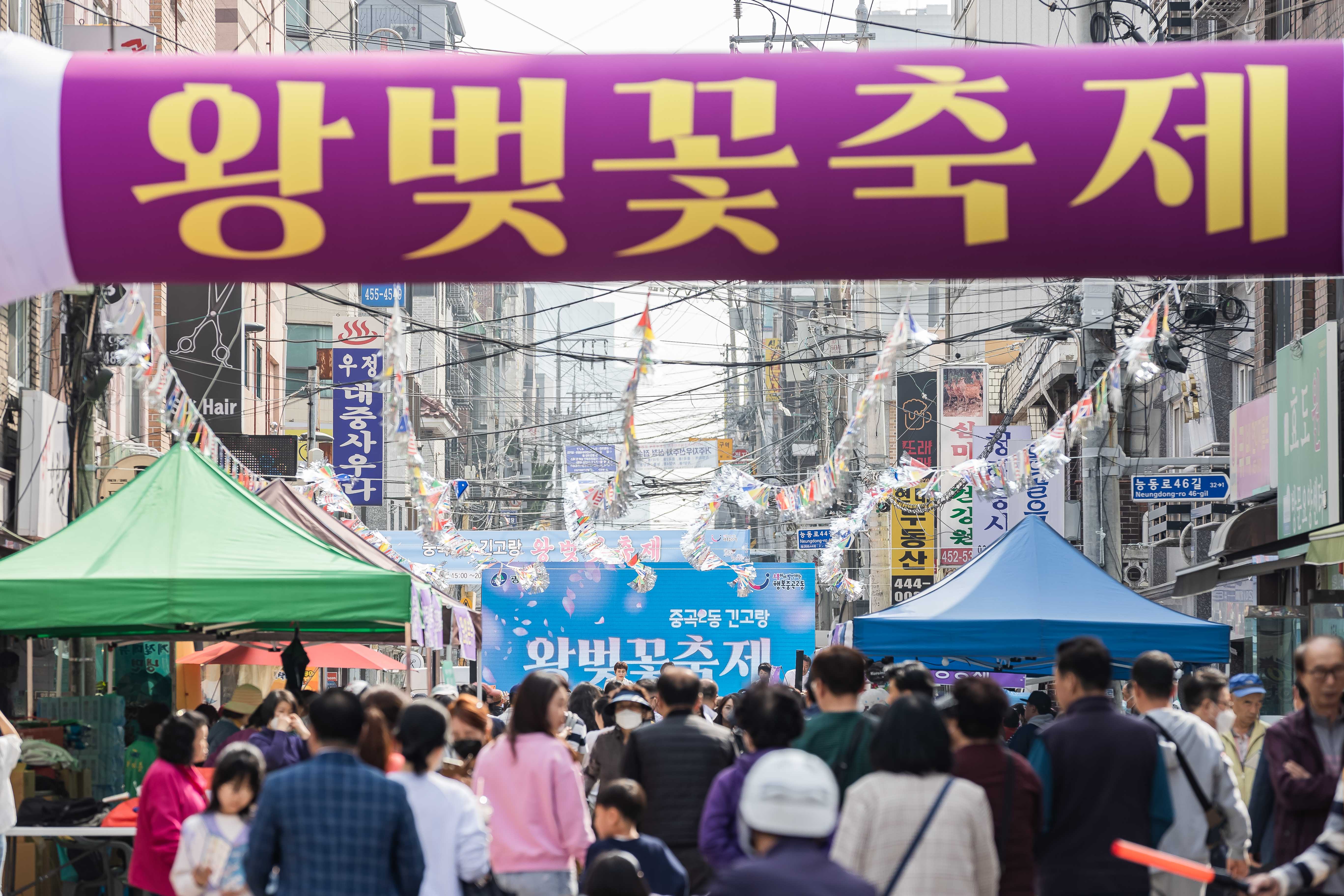 20230401-중곡2동 긴고랑 왕벚꽃 축제 230401-0424_G_173553.jpg