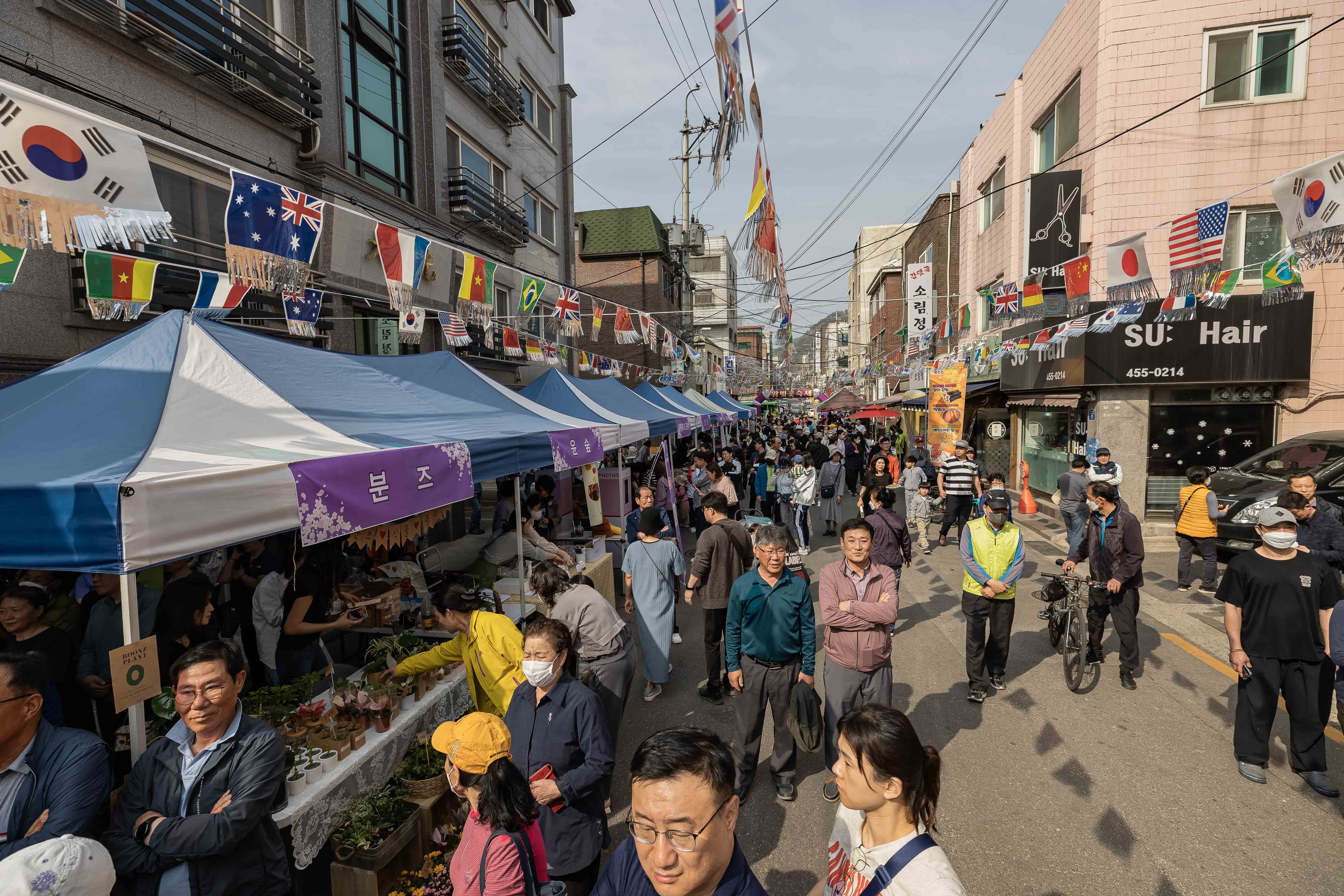 20230401-중곡2동 긴고랑 왕벚꽃 축제 230401-0547_G_173556.jpg