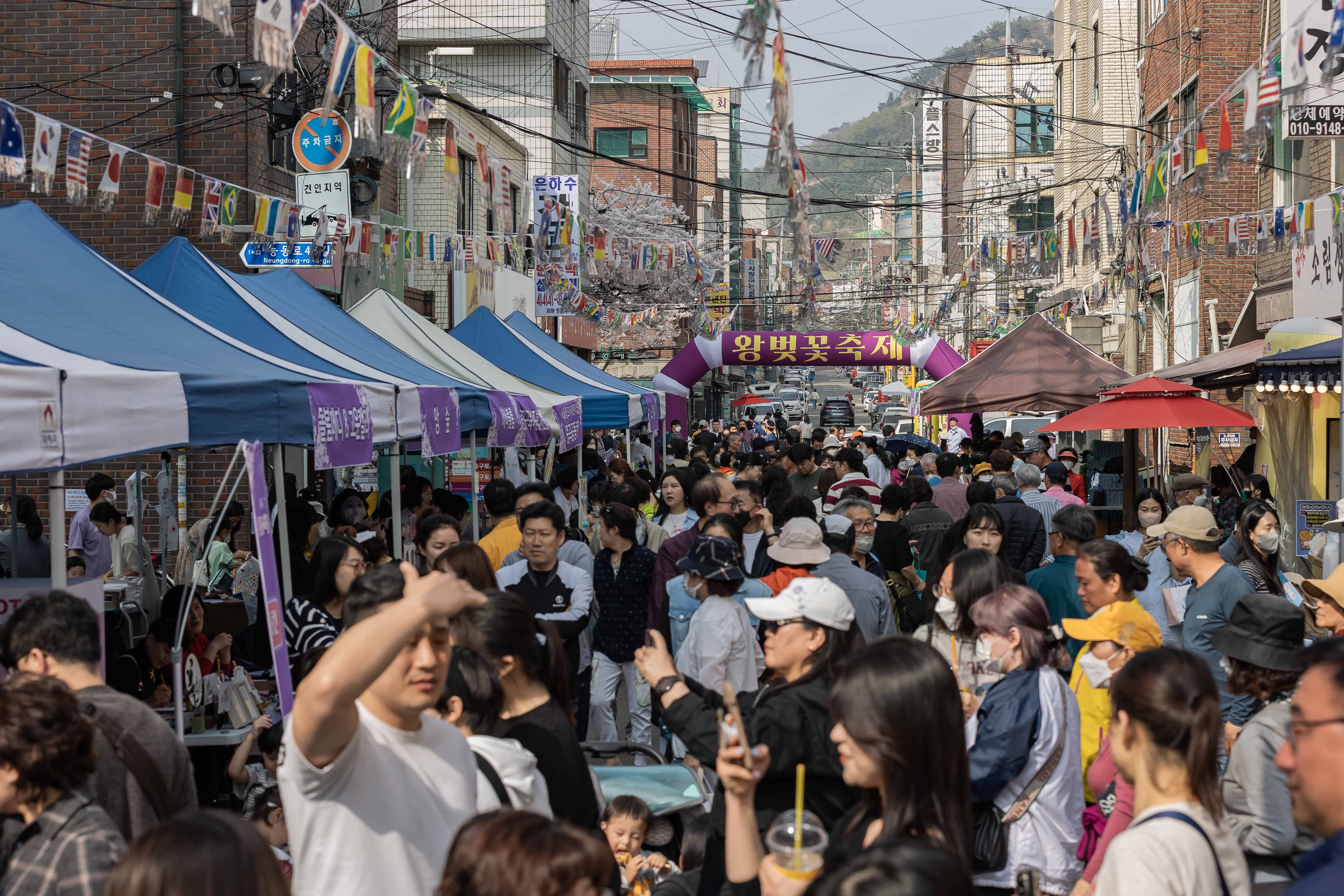 20230401-중곡2동 긴고랑 왕벚꽃 축제 230401-0555_G_173556.jpg