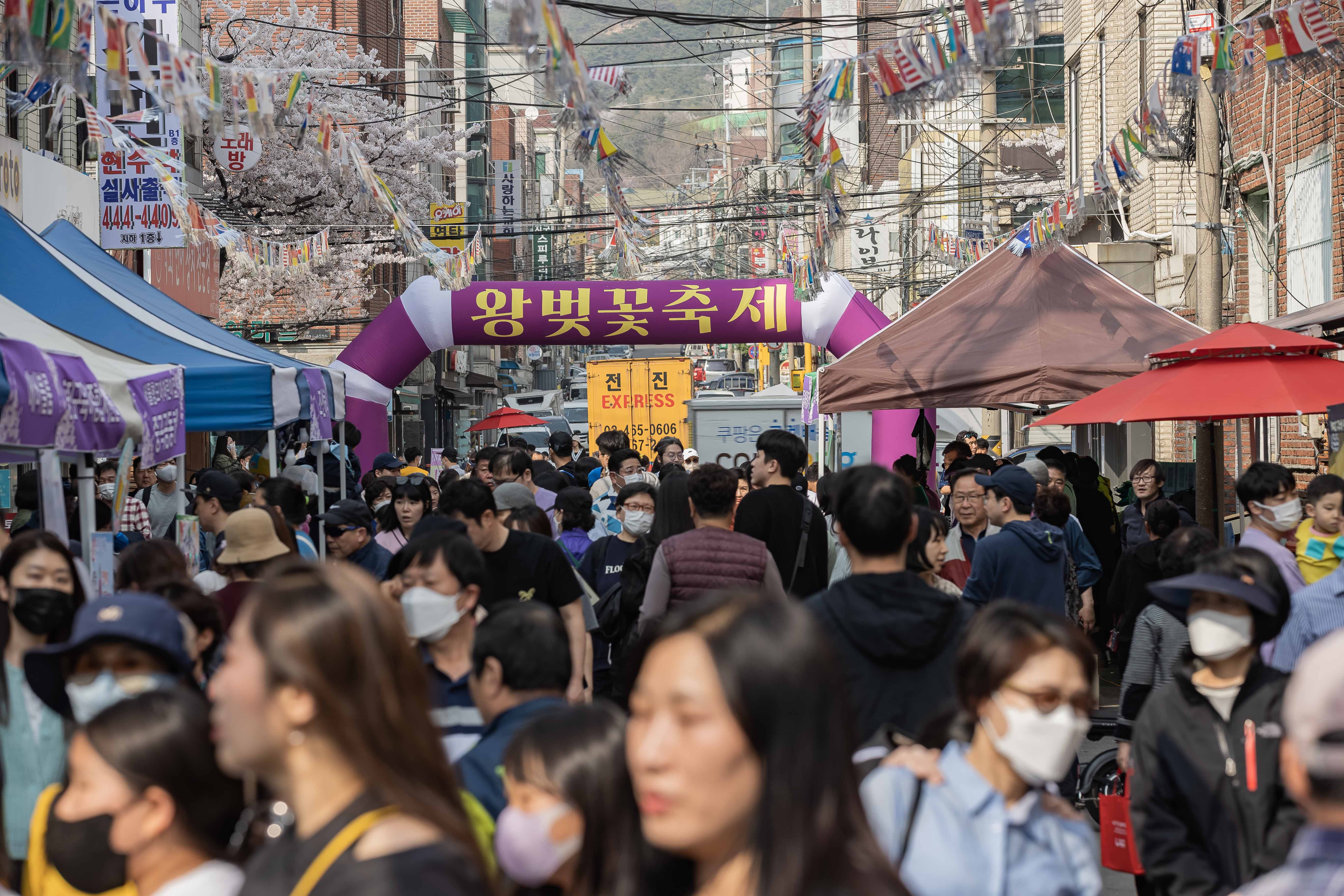 20230401-중곡2동 긴고랑 왕벚꽃 축제 230401-0601_G_173558.jpg