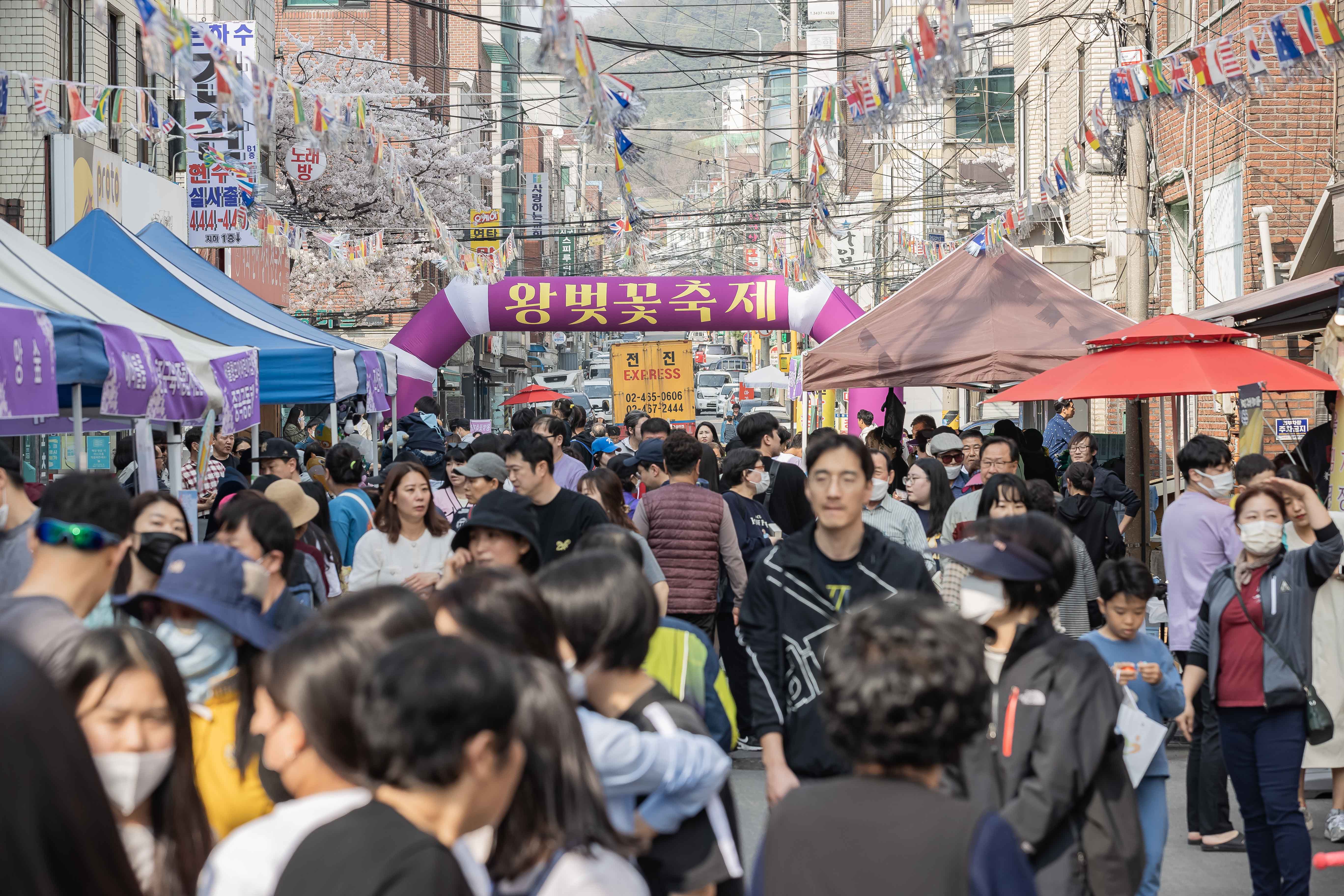 20230401-중곡2동 긴고랑 왕벚꽃 축제 230401-0604_G_173558.jpg