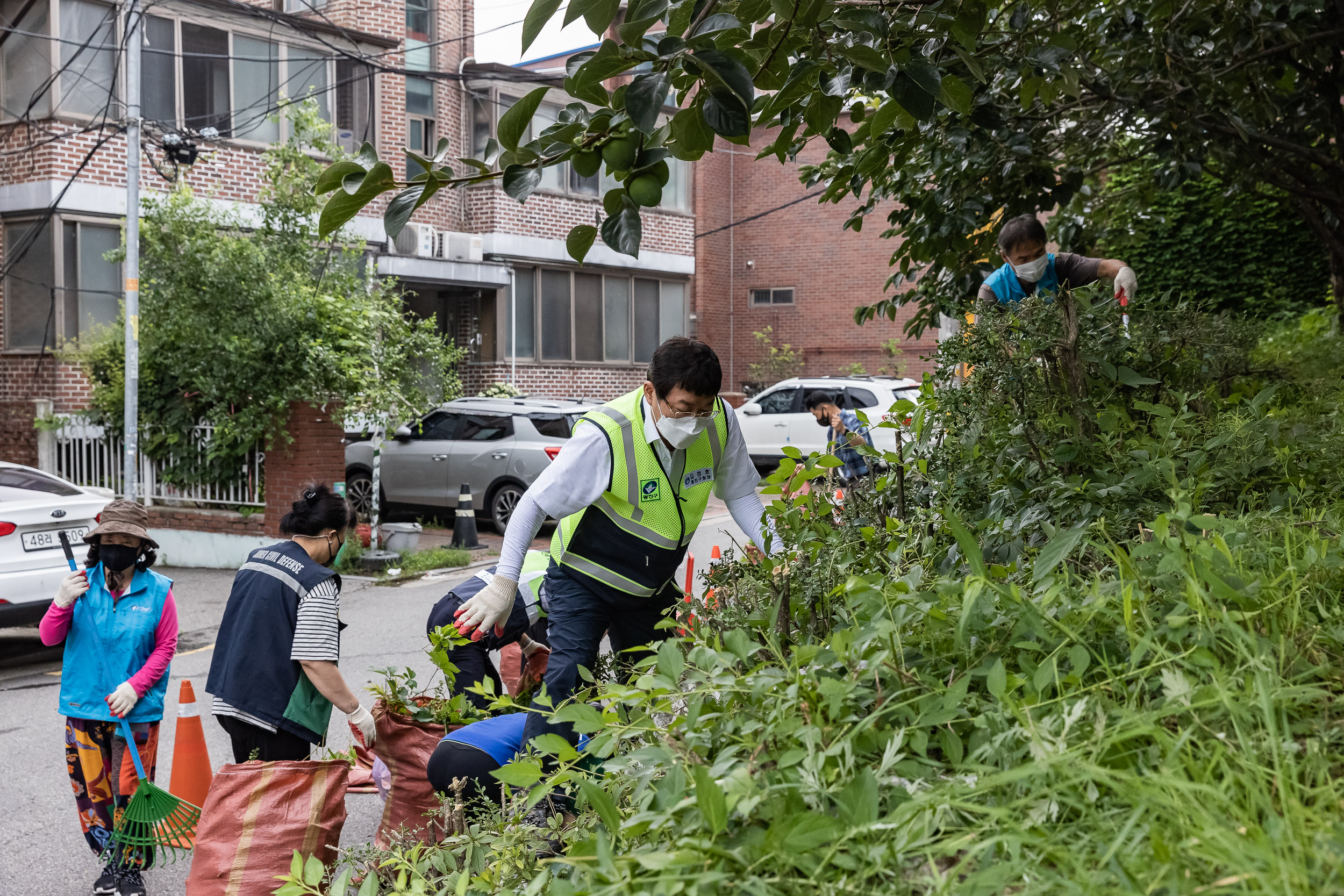 20220722-능동 감나무식재지 일대 대청소 20220722_5571_G_101038.jpg