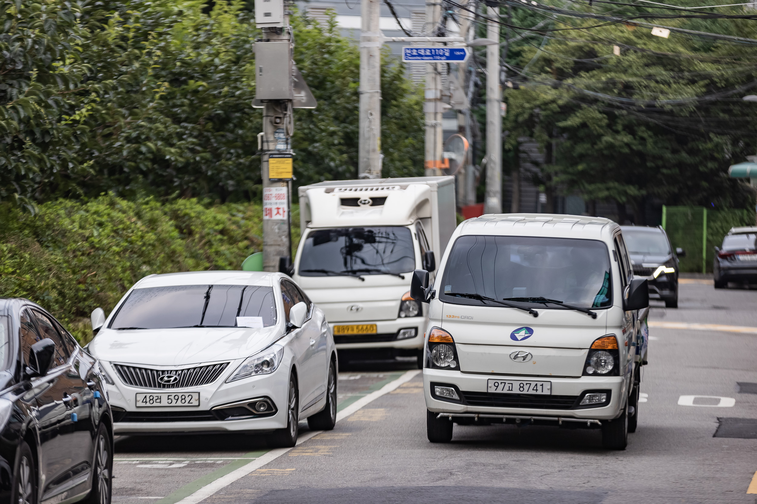 20220722-능동 감나무식재지 일대 대청소 20220722_5669_G_101039.jpg