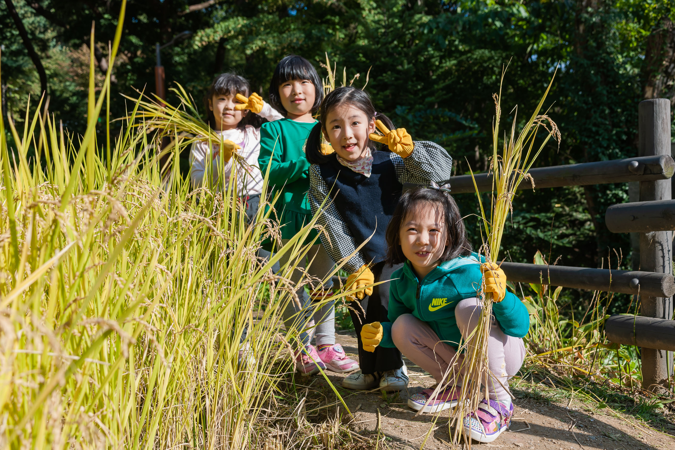 20191015-아차산생태체험 프로그램 '나도 농부야' 20191015-100344-S_160305.jpg