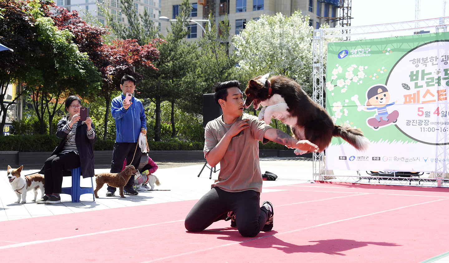 20180504-반려동물 페스티발 172849.jpg