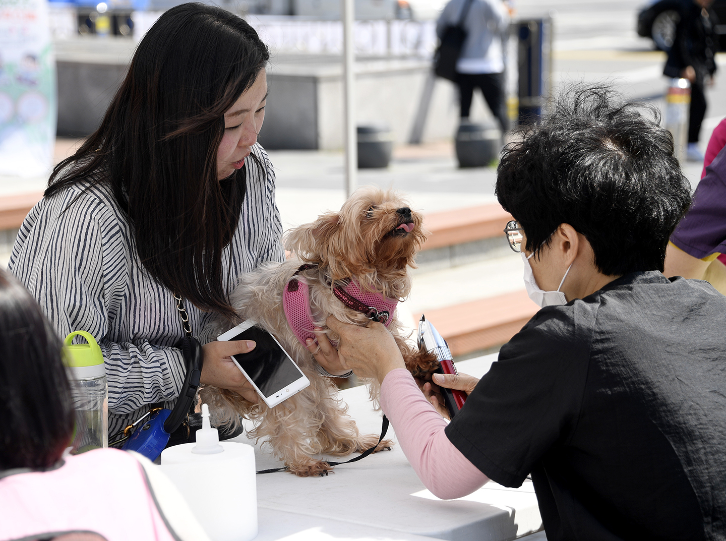 20180504-반려동물 페스티발 172832.jpg