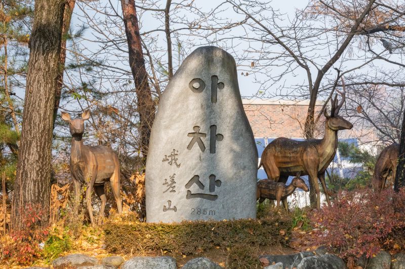 20181125-광진구협회장배 산악대회