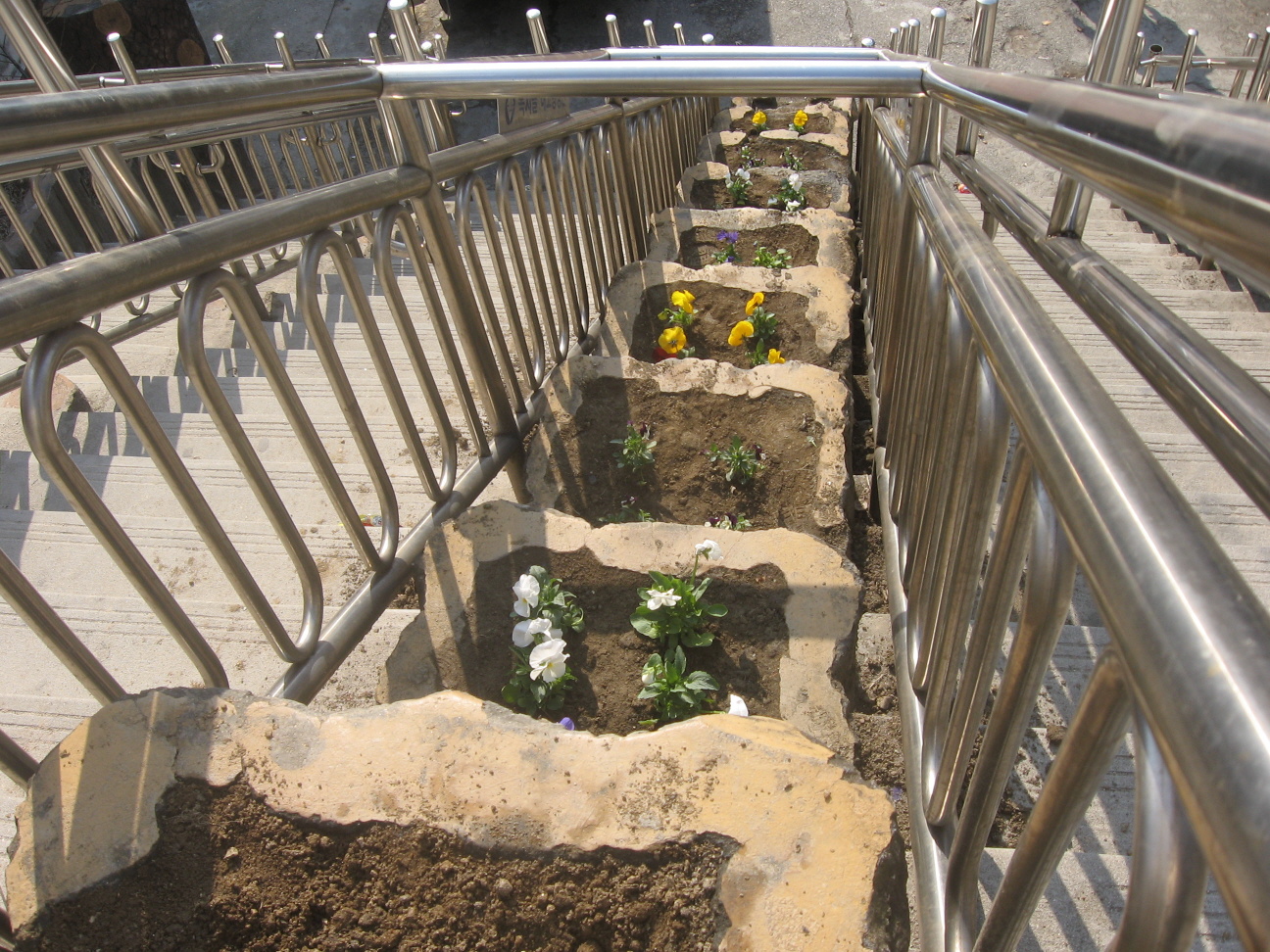 중곡4동 주민센터 환경정비 꽃묘식재