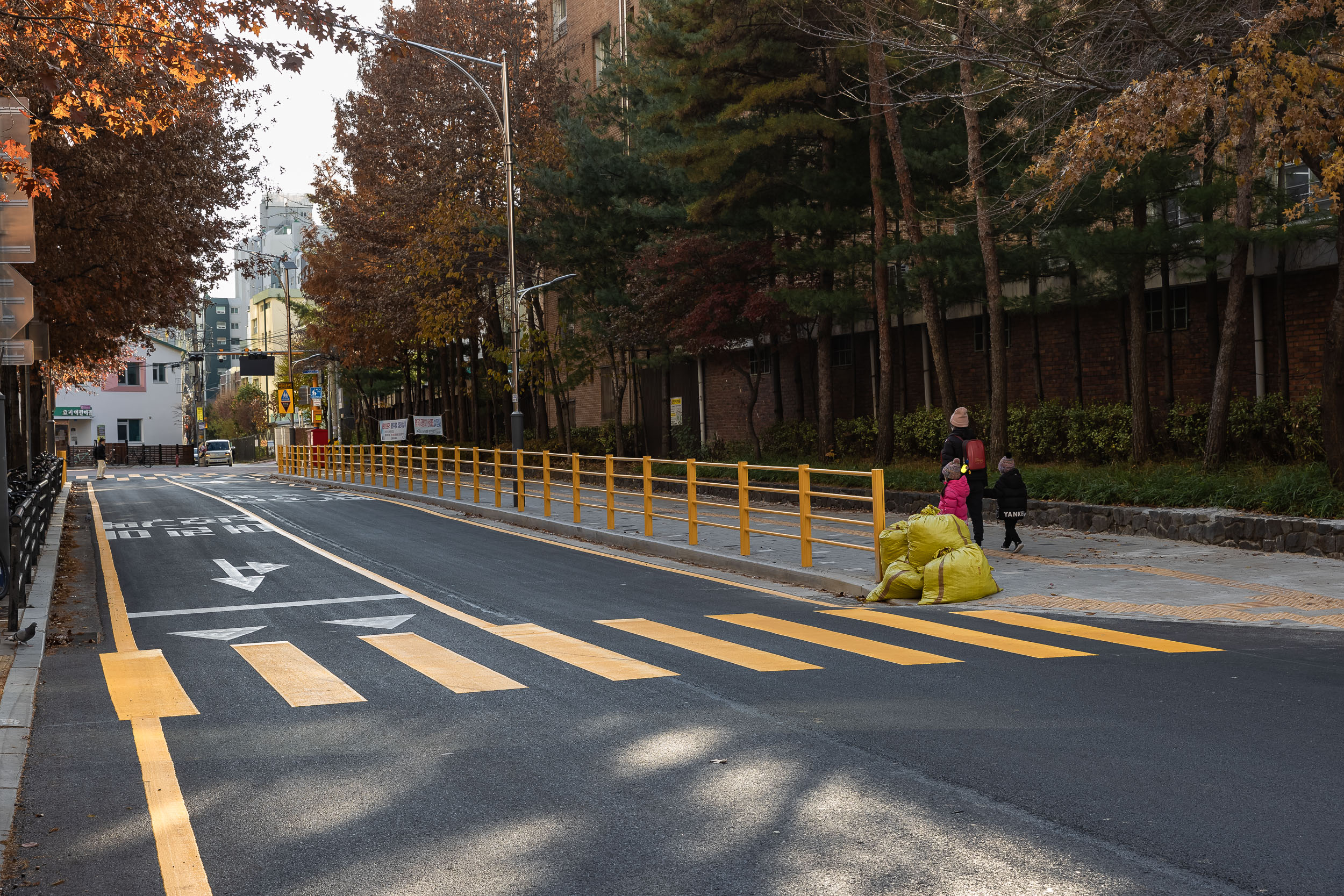 20231129-안전한 통학로 조성을 위한 어린이보호구역 노란횡단보도 설치 231129_0004_G_132324.jpg