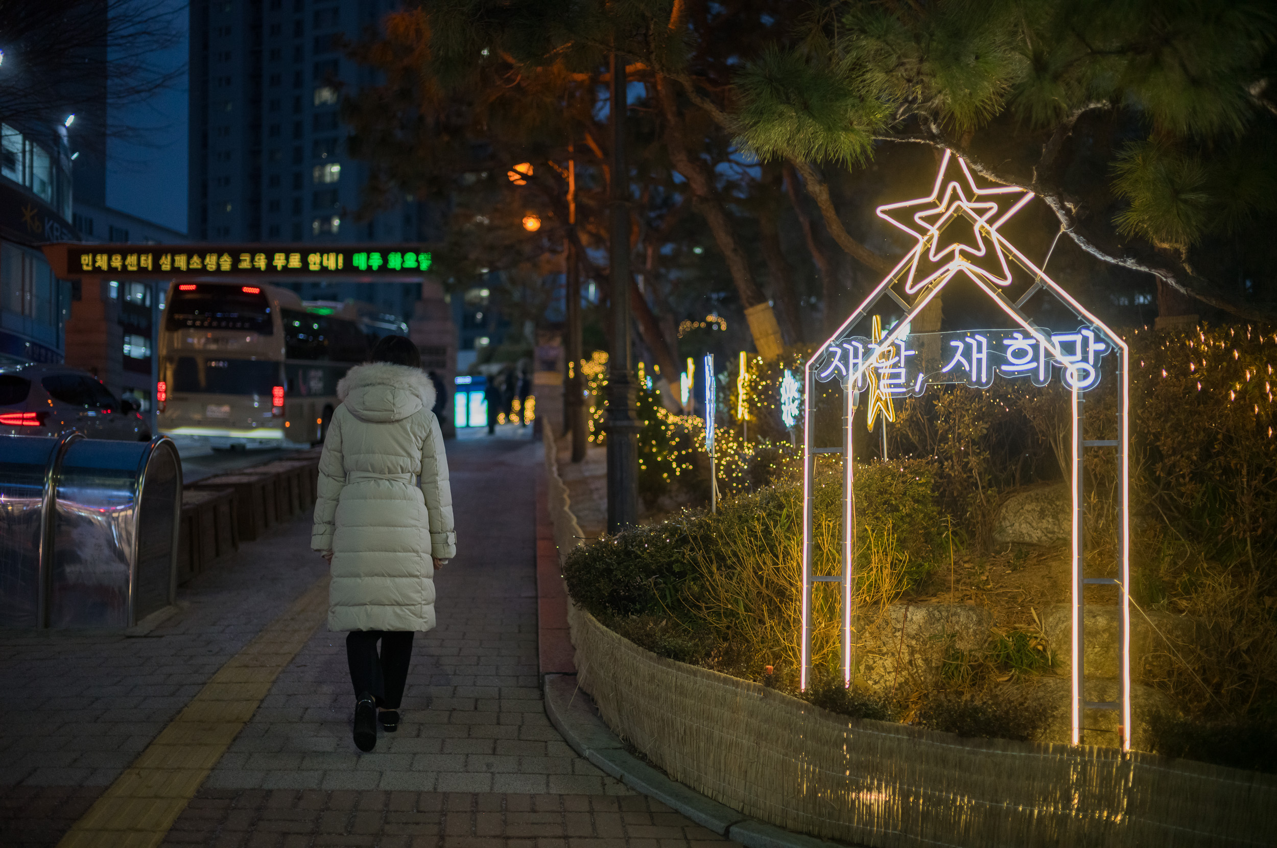 20231221-'새날, 새 희망' 구청 경관조명 설치 231221 (13)_141022.jpg