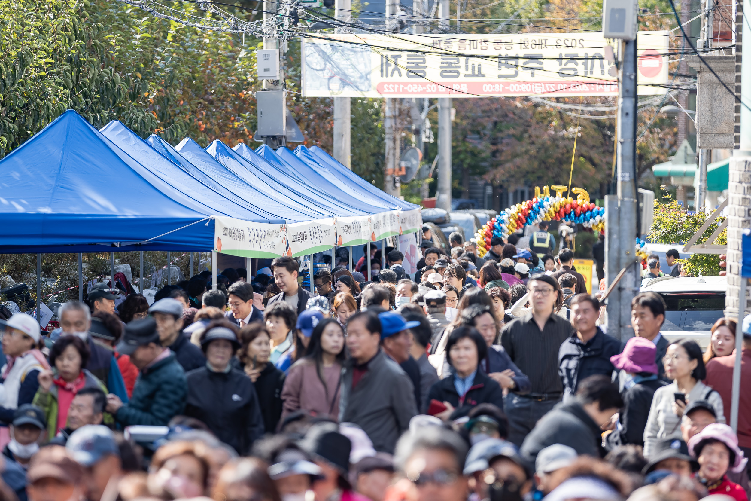 20231027-제6회 능동 감마을 축제 231027-0294_G_150138.jpg