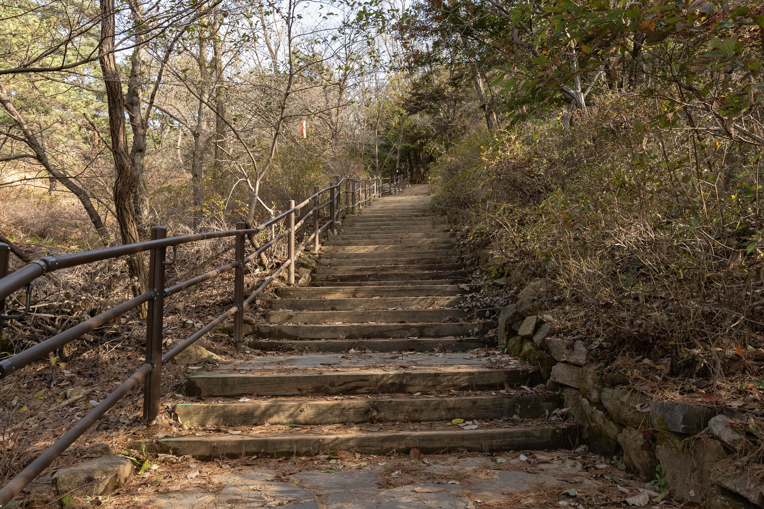 20231108-아차산 해맞이명소 정비사업 현장 방문 231108_0113_G_163035.jpg