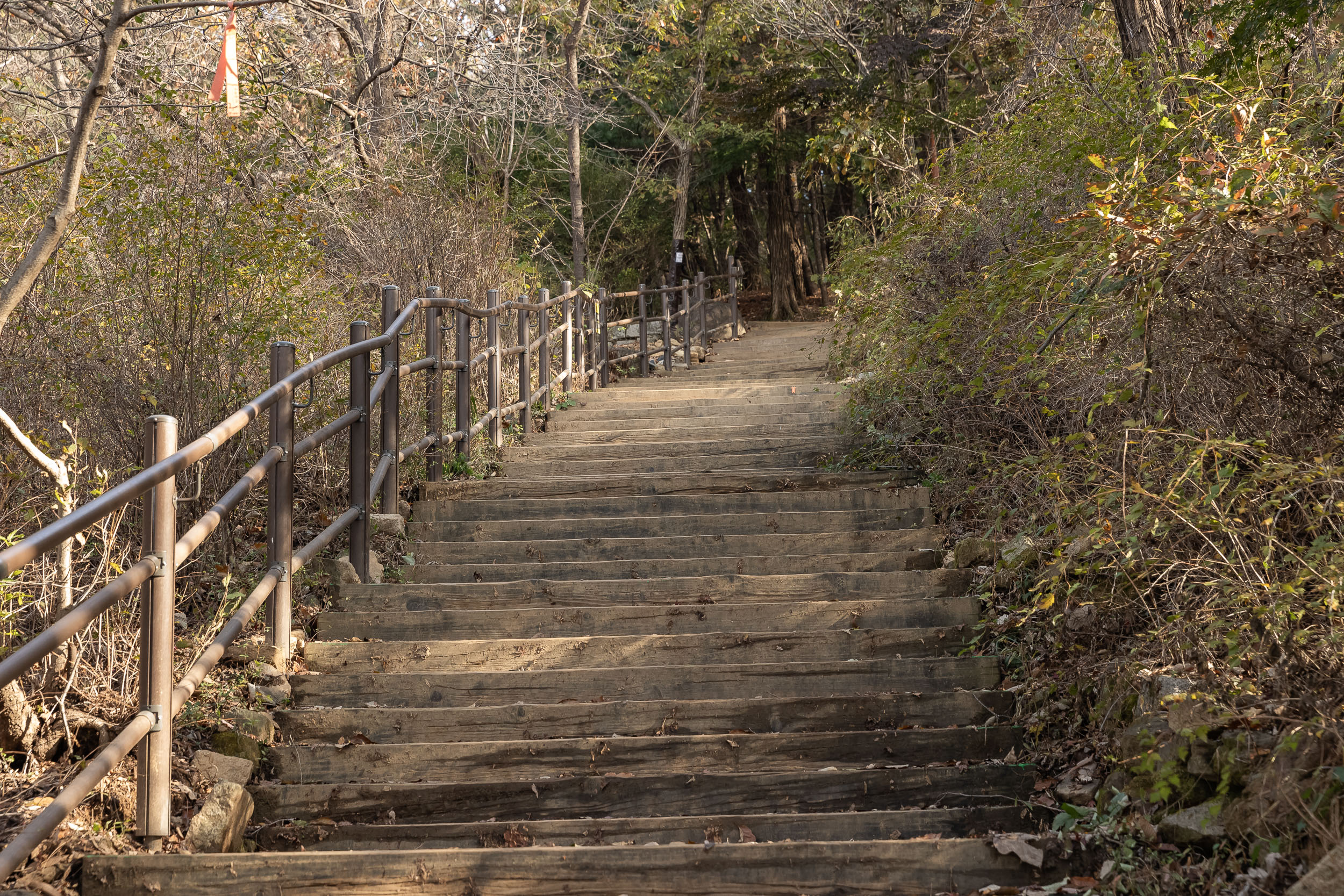 20231108-아차산 해맞이명소 정비사업 현장 방문 231108_0116_G_163036.jpg