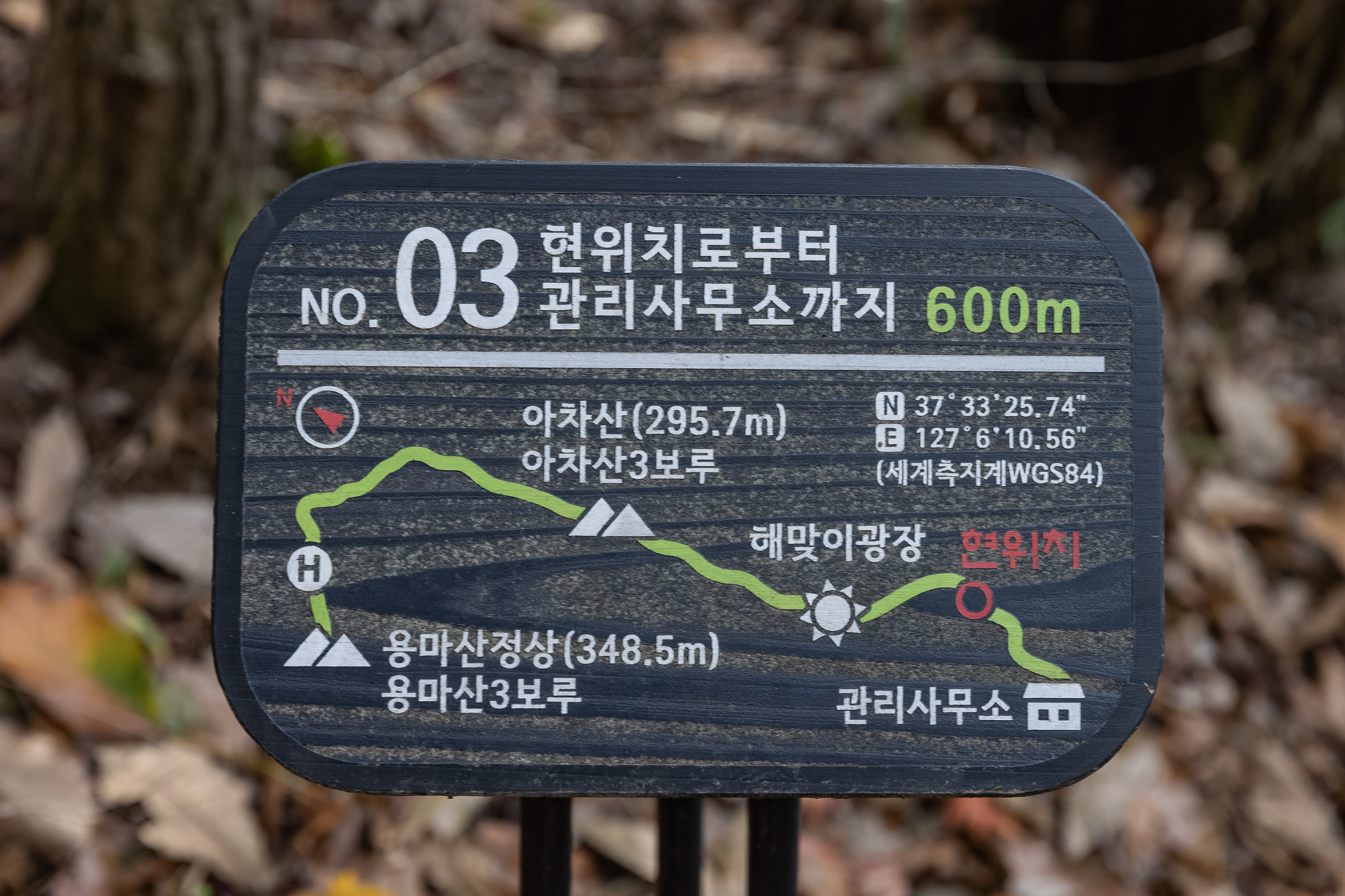 20231108-아차산 해맞이명소 정비사업 현장 방문 231108_0151_G_163036.jpg