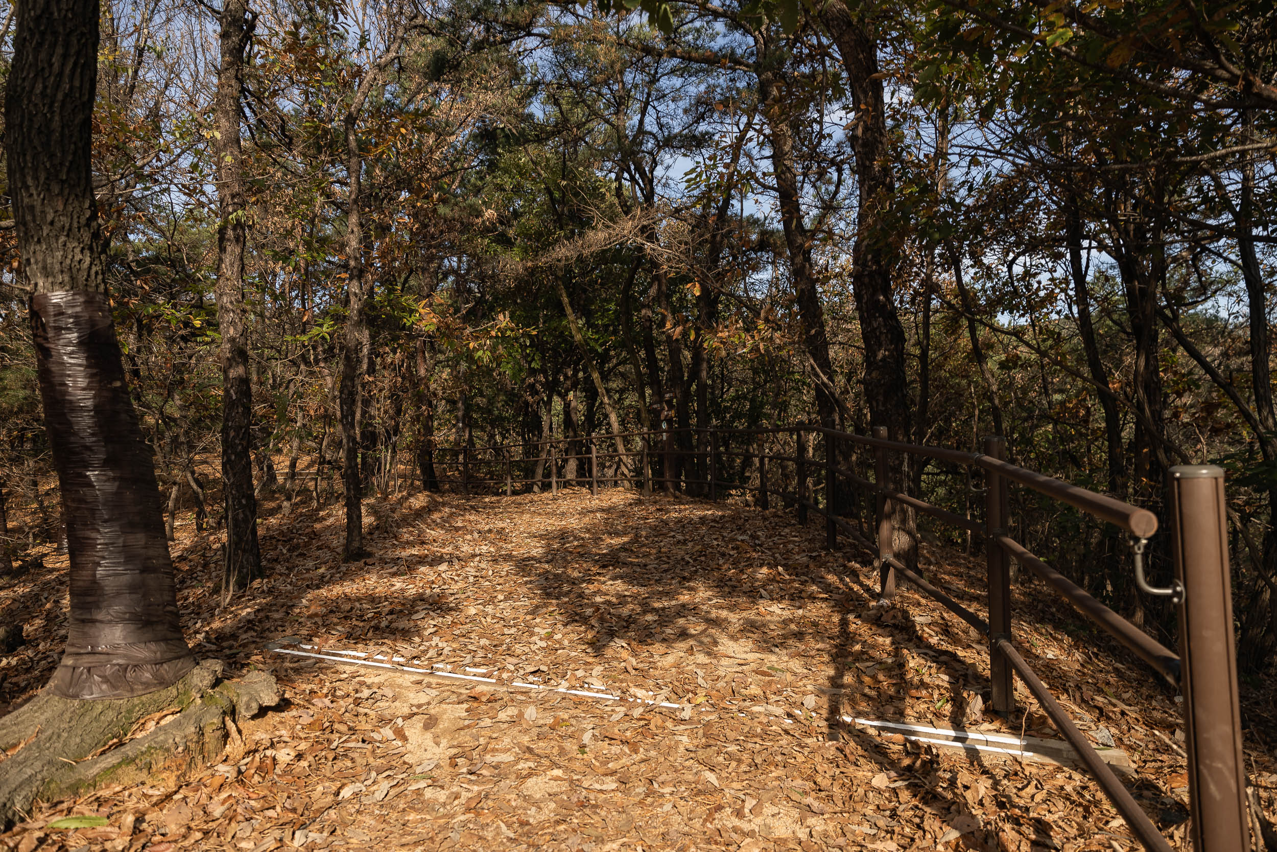 20231108-아차산 해맞이명소 정비사업 현장 방문 231108_0230_G_163038.jpg