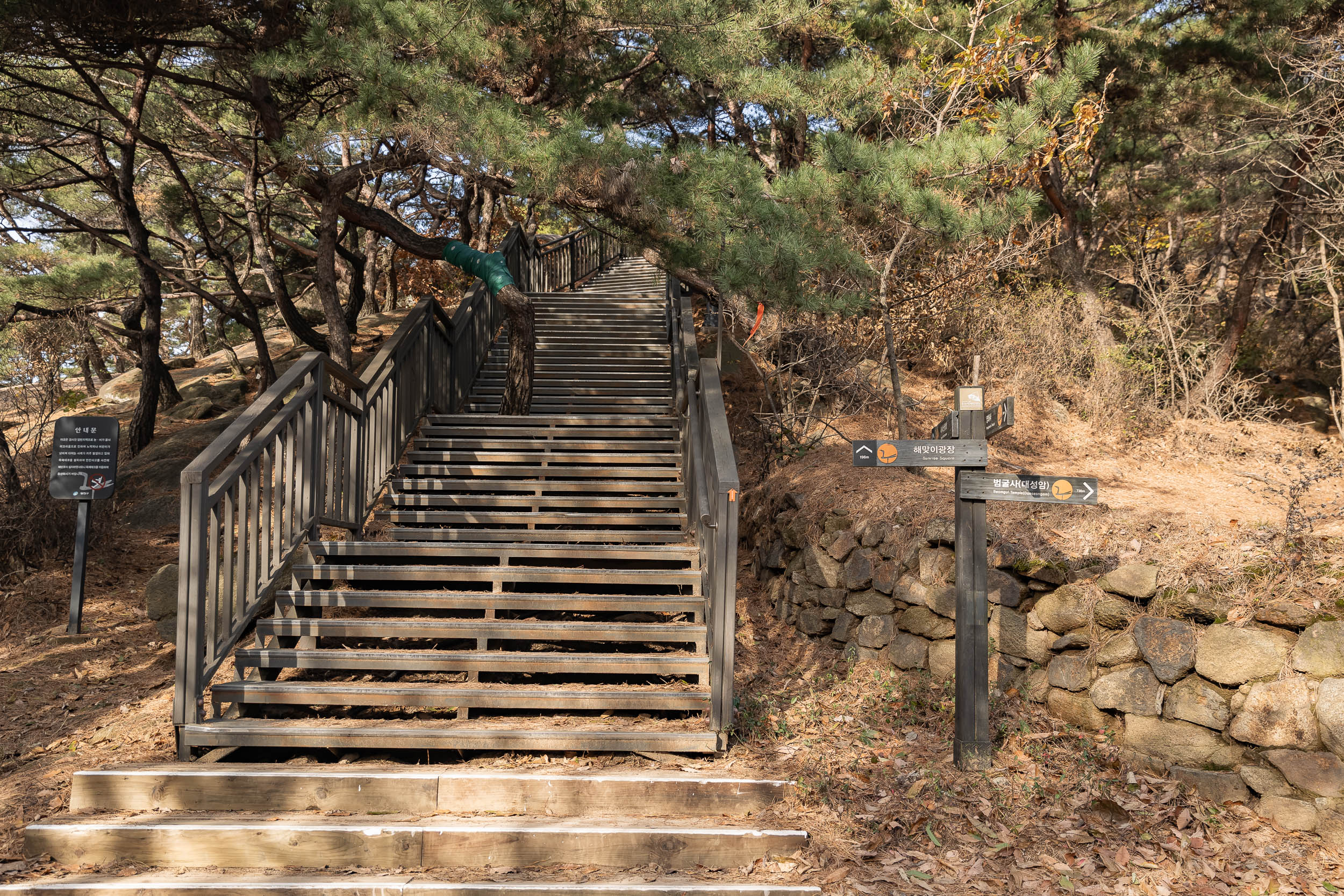 20231108-아차산 해맞이명소 정비사업 현장 방문 231108_0246_G_163039.jpg