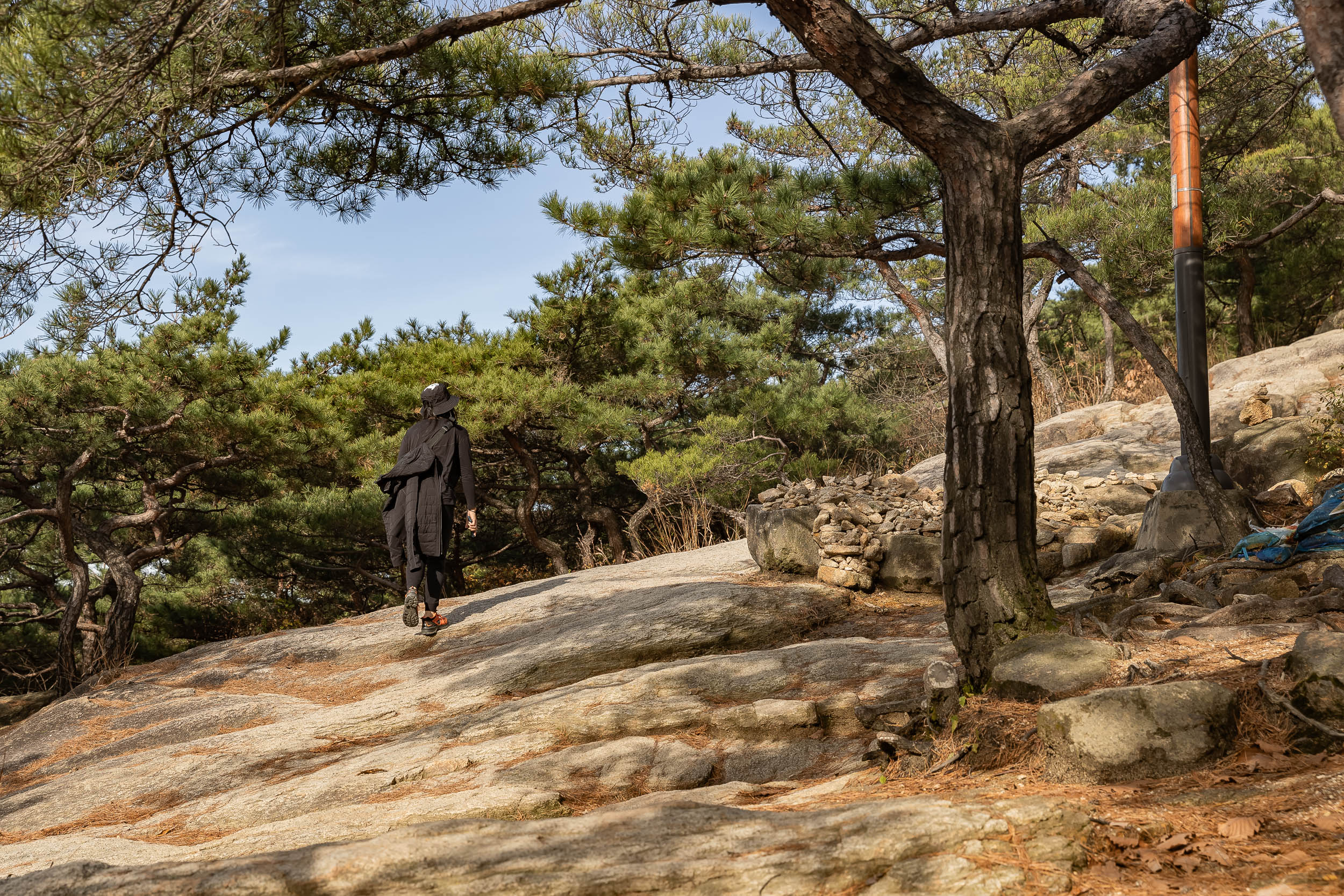 20231108-아차산 해맞이명소 정비사업 현장 방문 231108_0296_G_163040.jpg