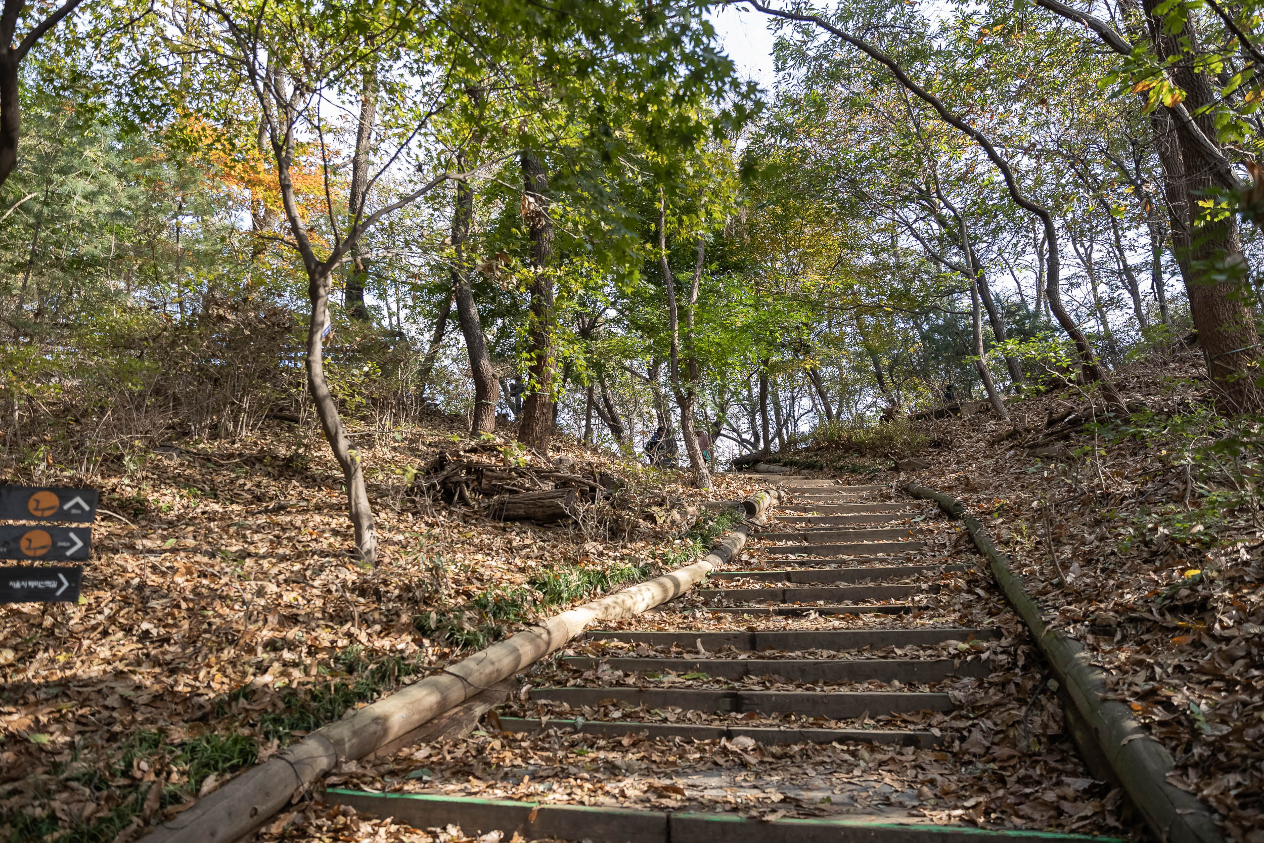 20231108-아차산 해맞이명소 정비사업 현장 방문 231108_0493_G_163045.jpg