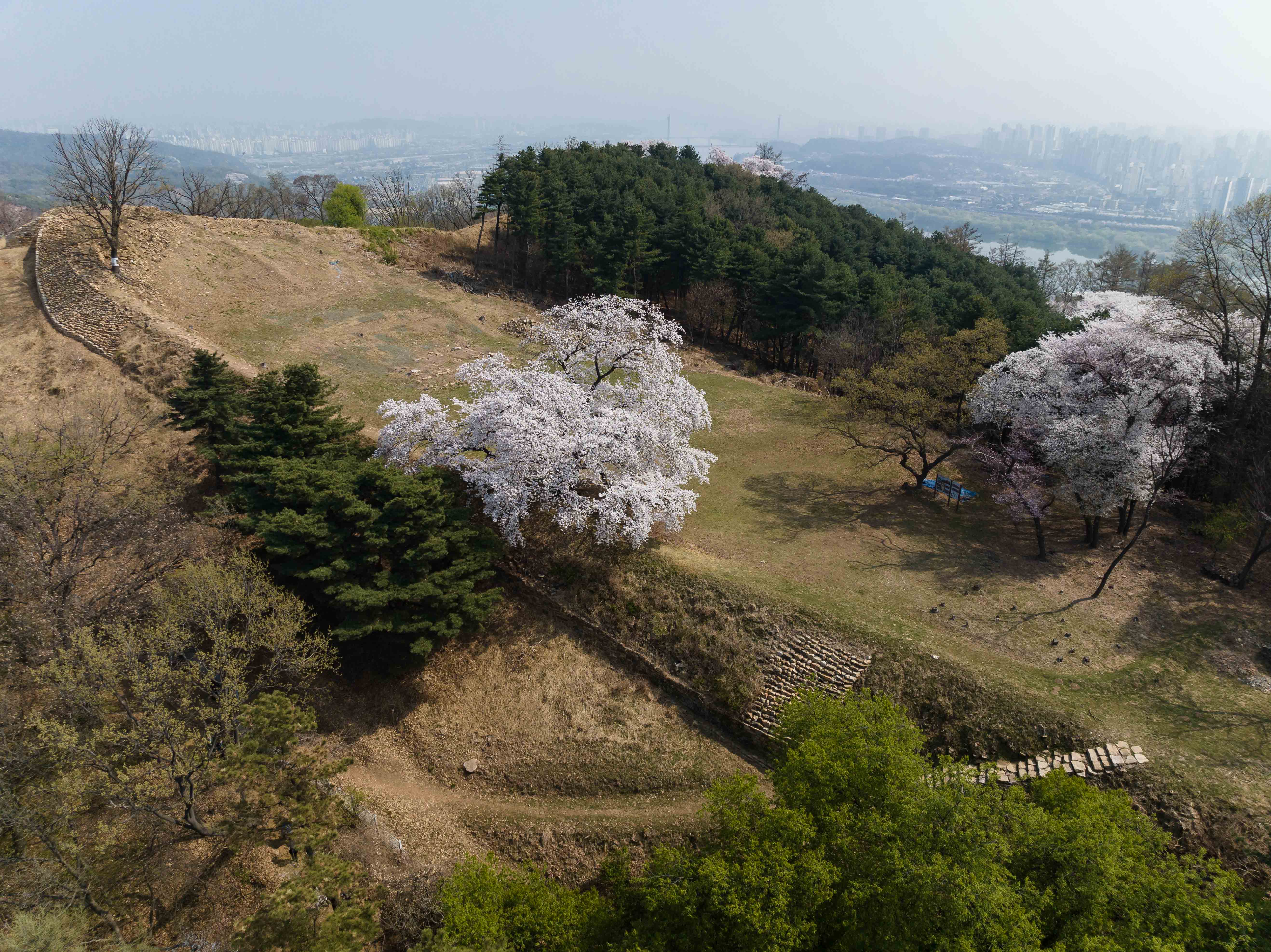 20230402-하늘에서 본 광진의 봄날 200402-001 (31)_175745.jpg