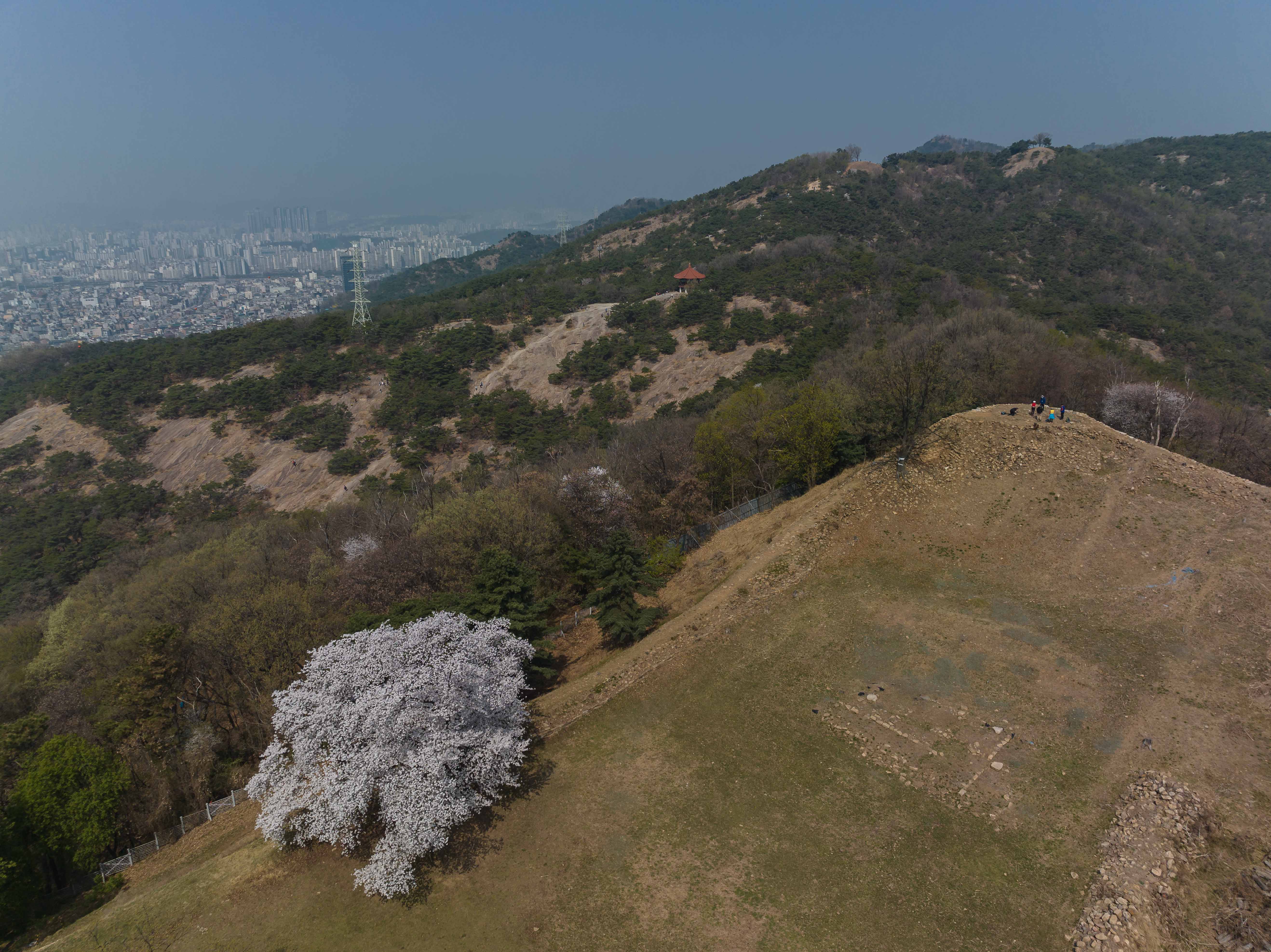 20230402-하늘에서 본 광진의 봄날 200402-001 (36)_175746.jpg