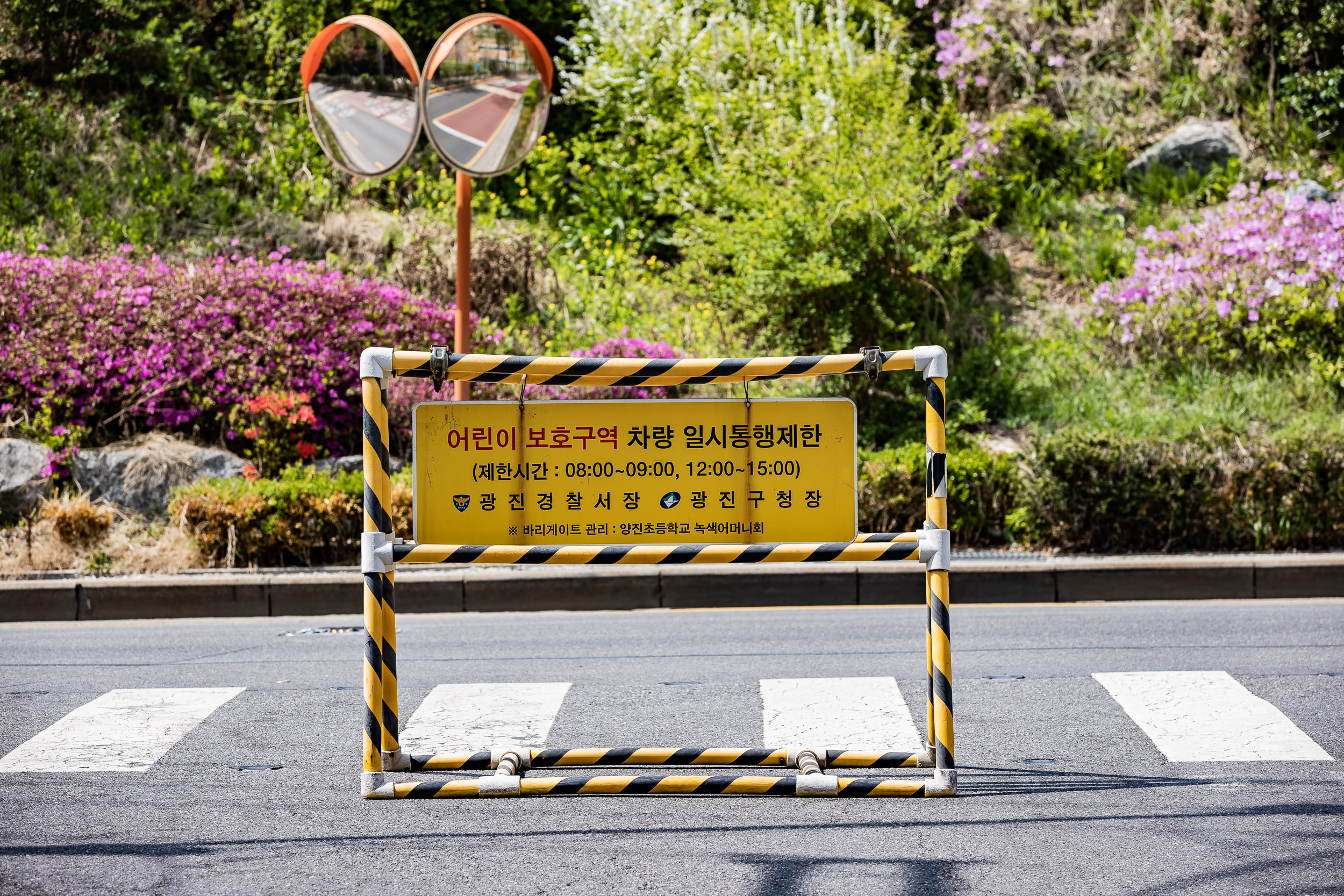 20230410-학교앞 소통 나들이-양진초등학교