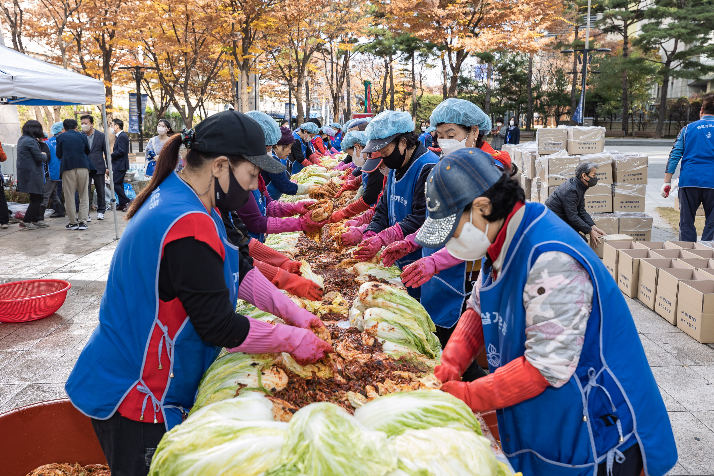 20221111-어려운 이웃 사랑의 김장 담가드리기 221111-0106_G_114137.jpg