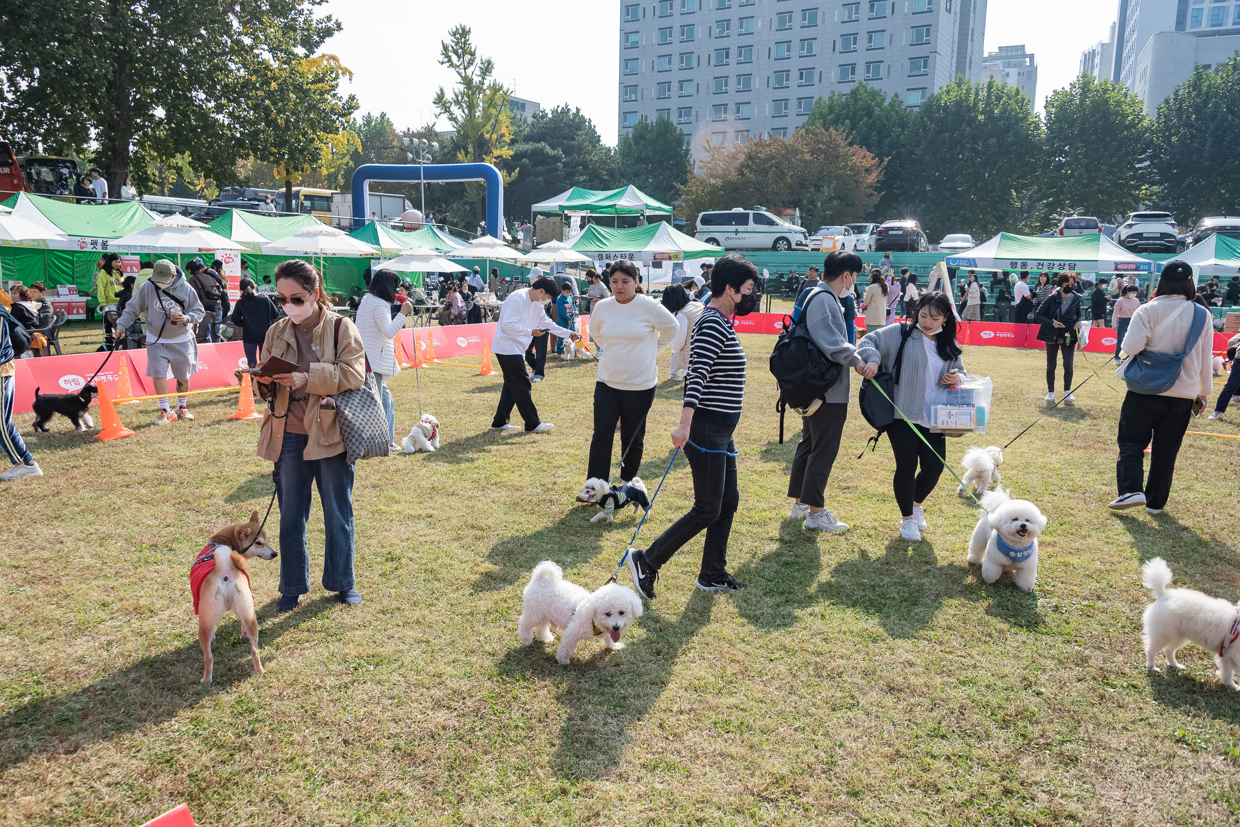 20221022-멍토피아 운동회 221022-1608_G_102317.jpg