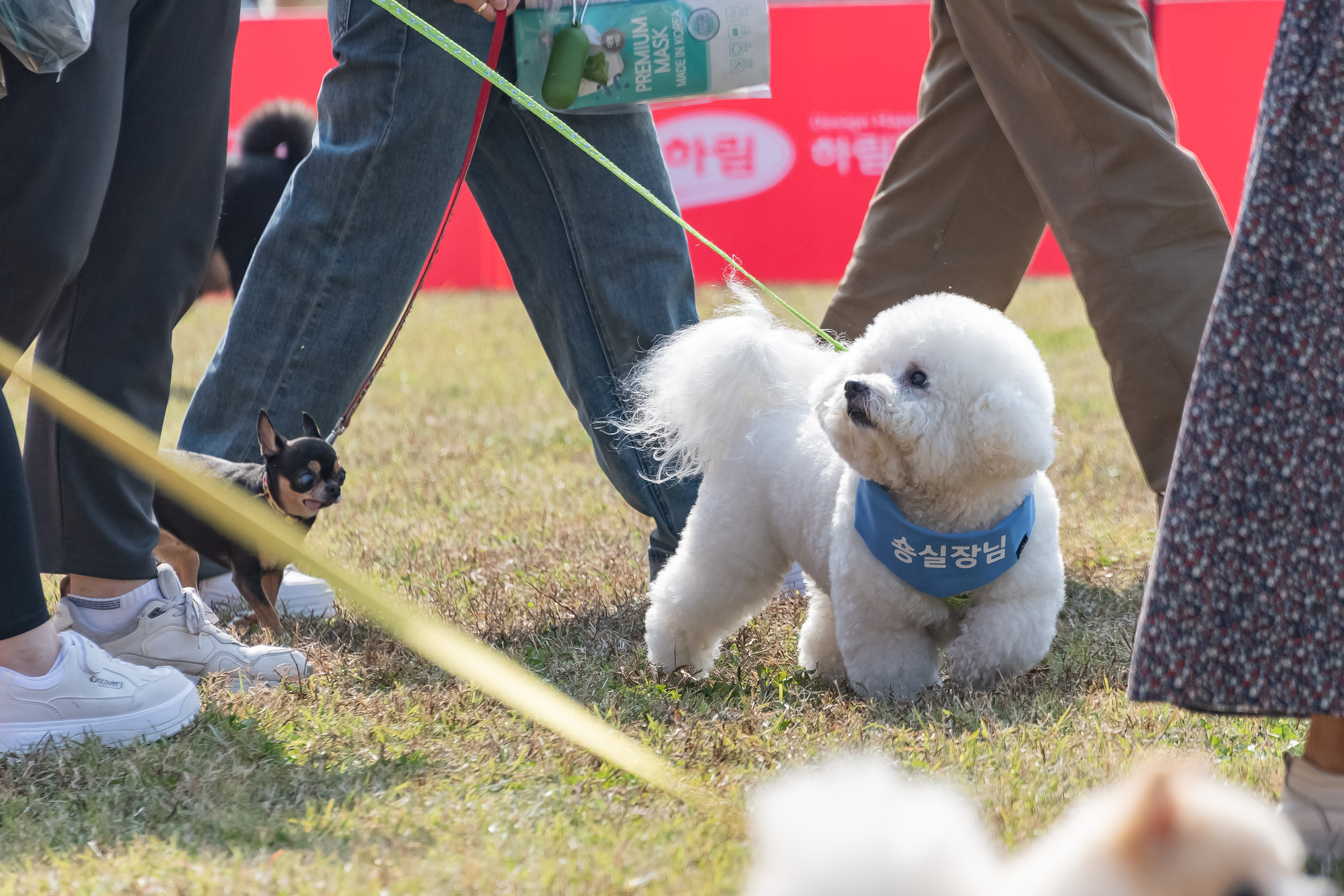 20221022-멍토피아 운동회 221022-1628_G_102318.jpg