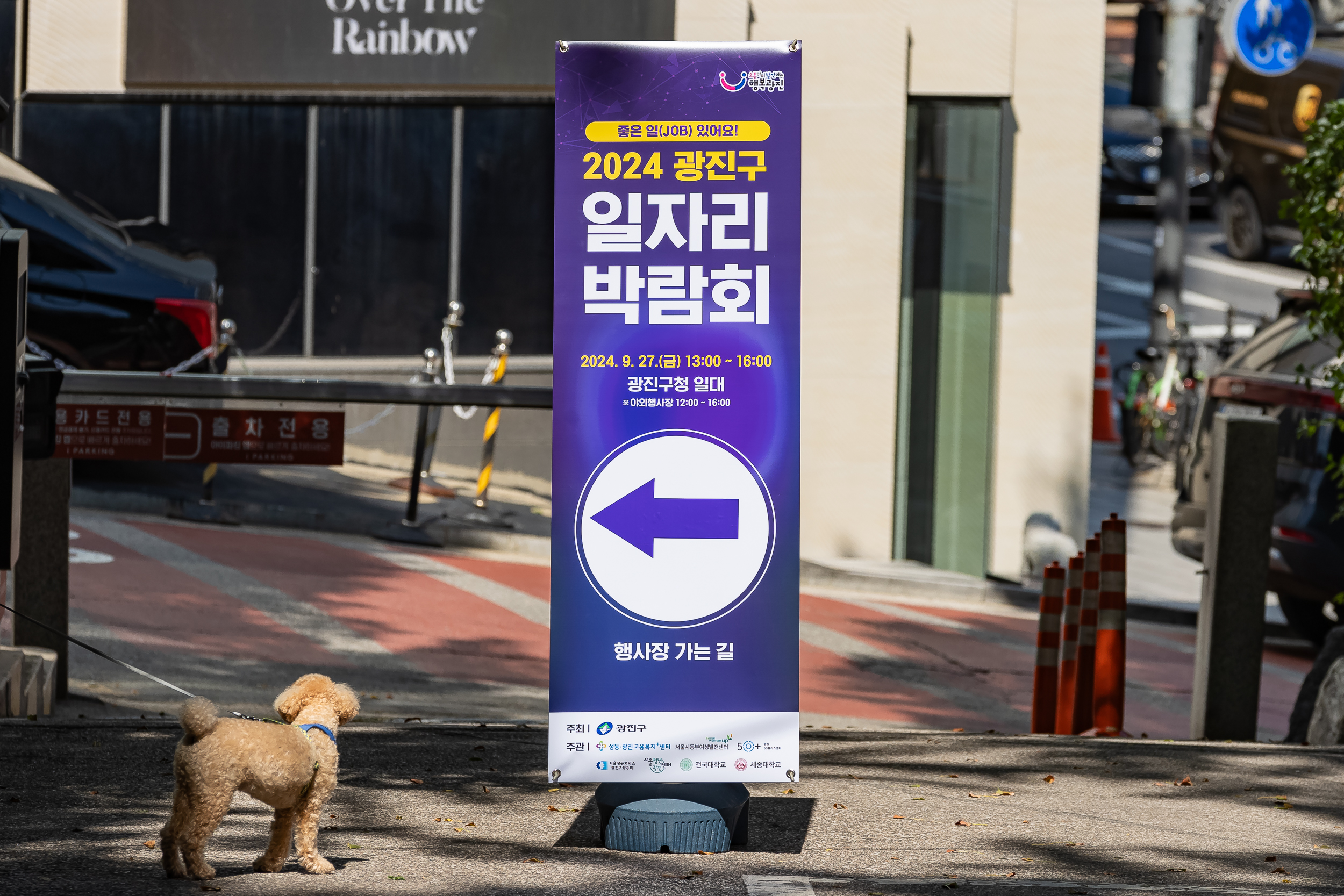 20240927-2024 광진구 일자리 박람회 240927-0213_Gm_085347.jpg