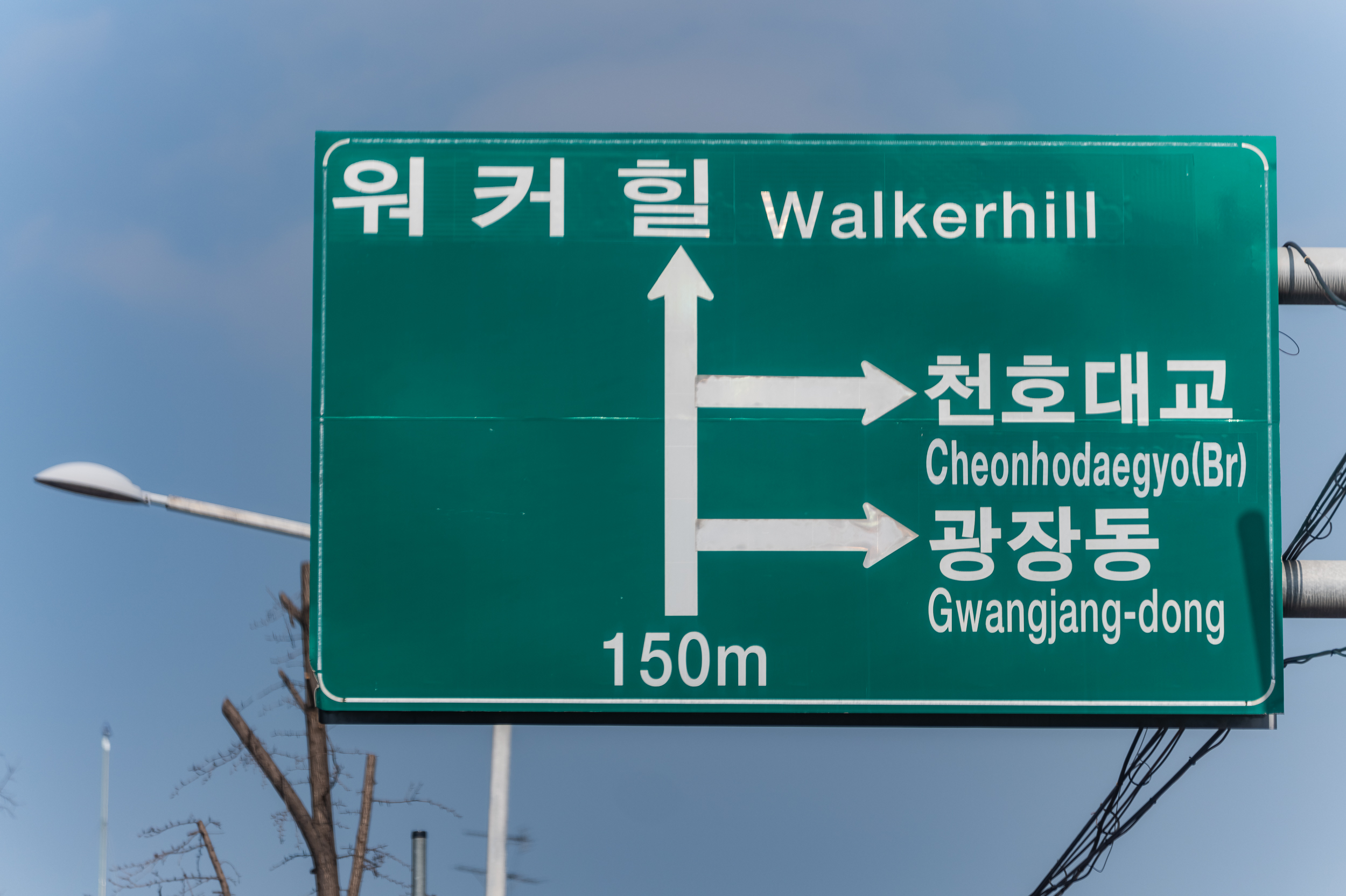 20250228-광진무궁화정원, 광진숲나루 현장 방문 20250228-06362_L_192532.jpg
