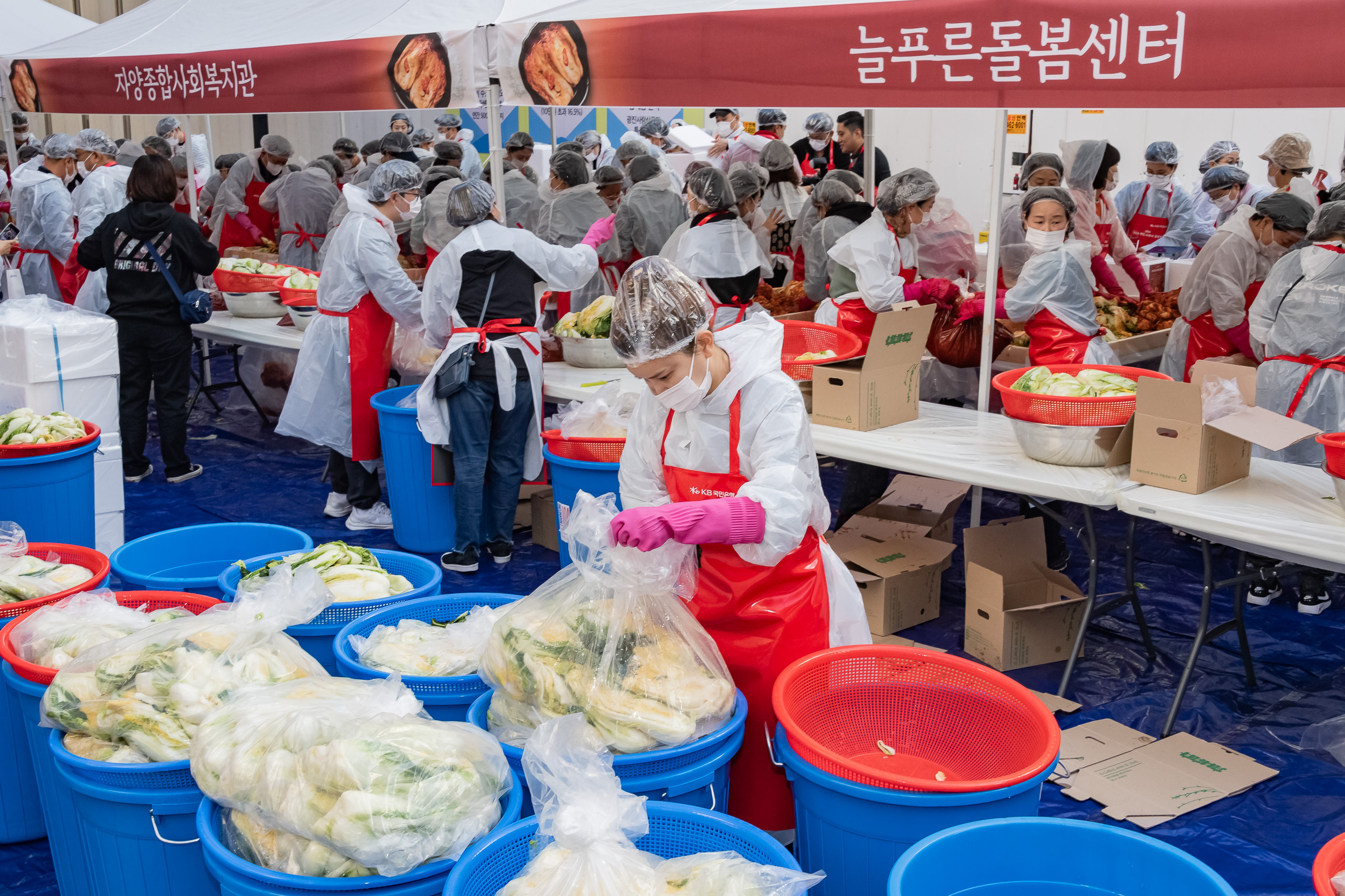 20241112-2024 제2회 광진 사랑의 김장축제 20241112_0961_G_161729.jpg