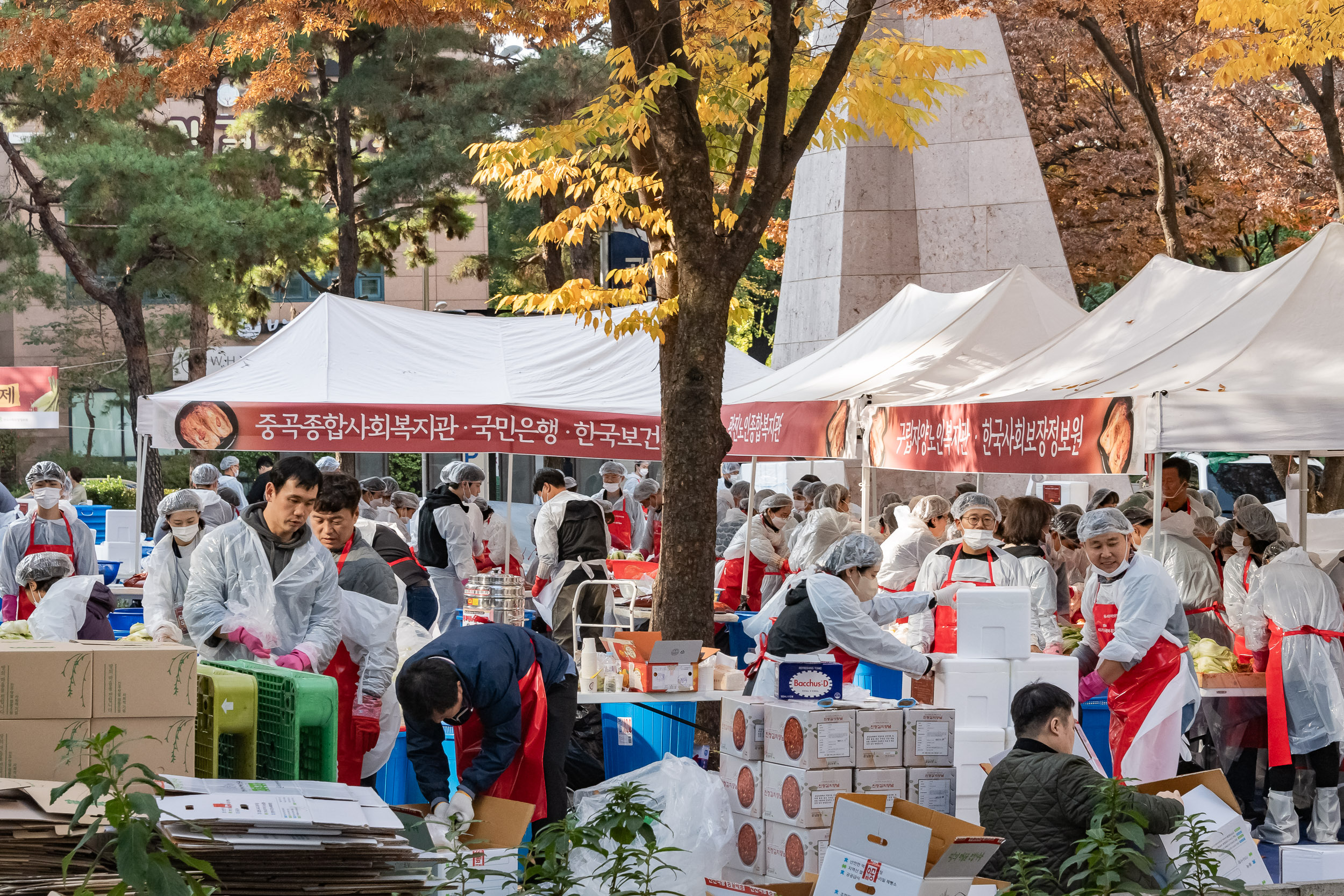 20241112-2024 제2회 광진 사랑의 김장축제 20241112_1235_G_161734.jpg