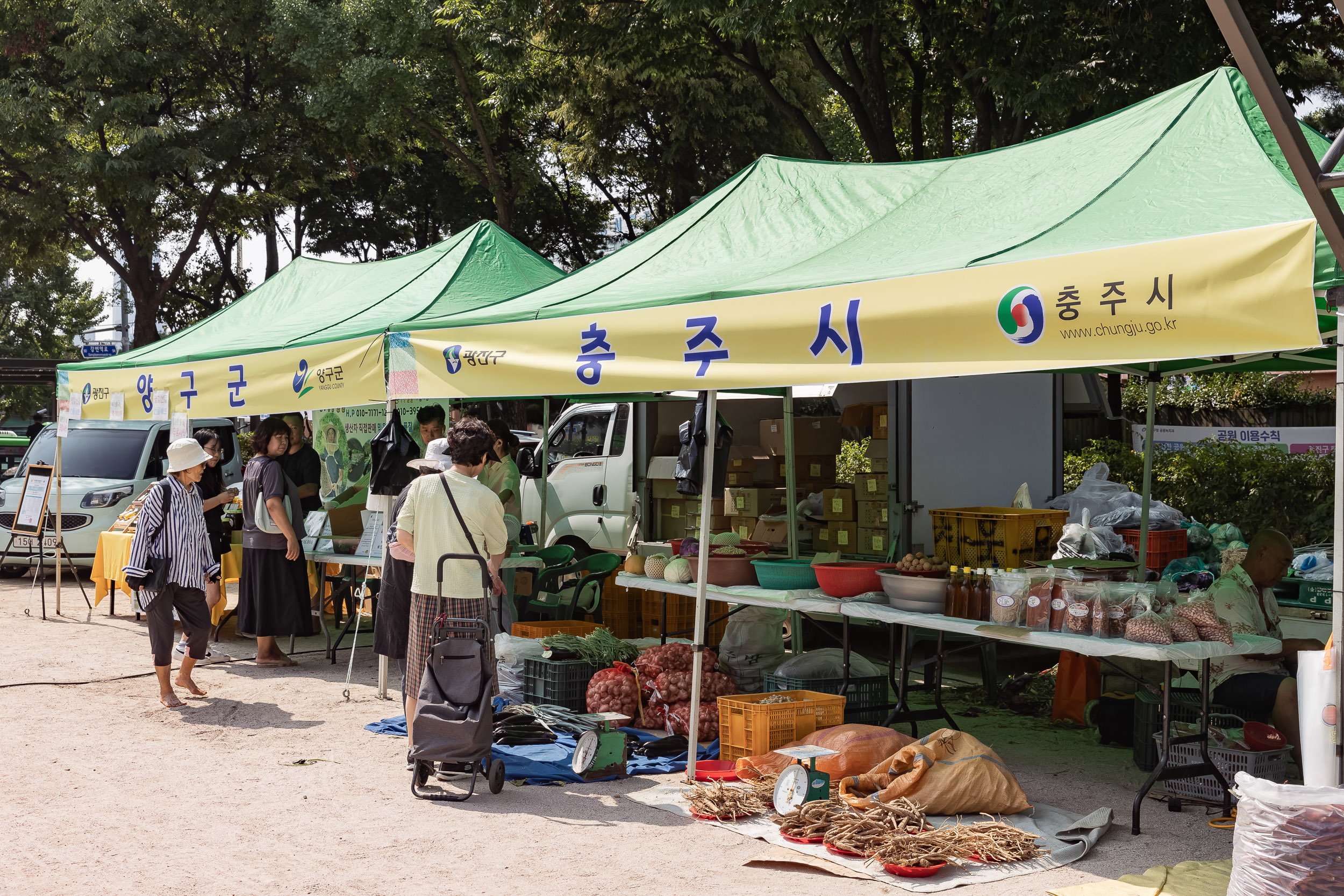 20240910-광진구 추석맞이 농수특산물 직거래장터 240910-0082_G_182710.jpg