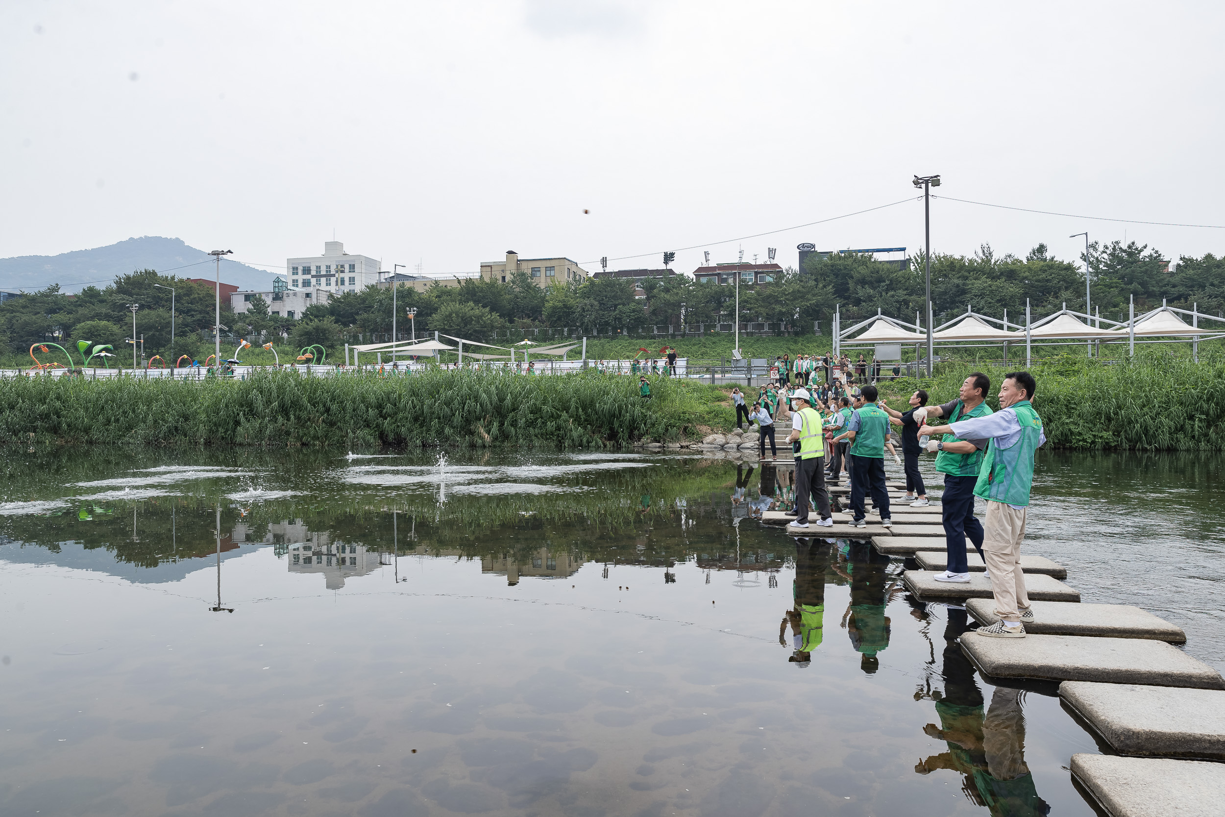 20240826-광진구새마을회 생명운동실천 중랑천변 환경정화활동 240826-0334_G_205825.jpg