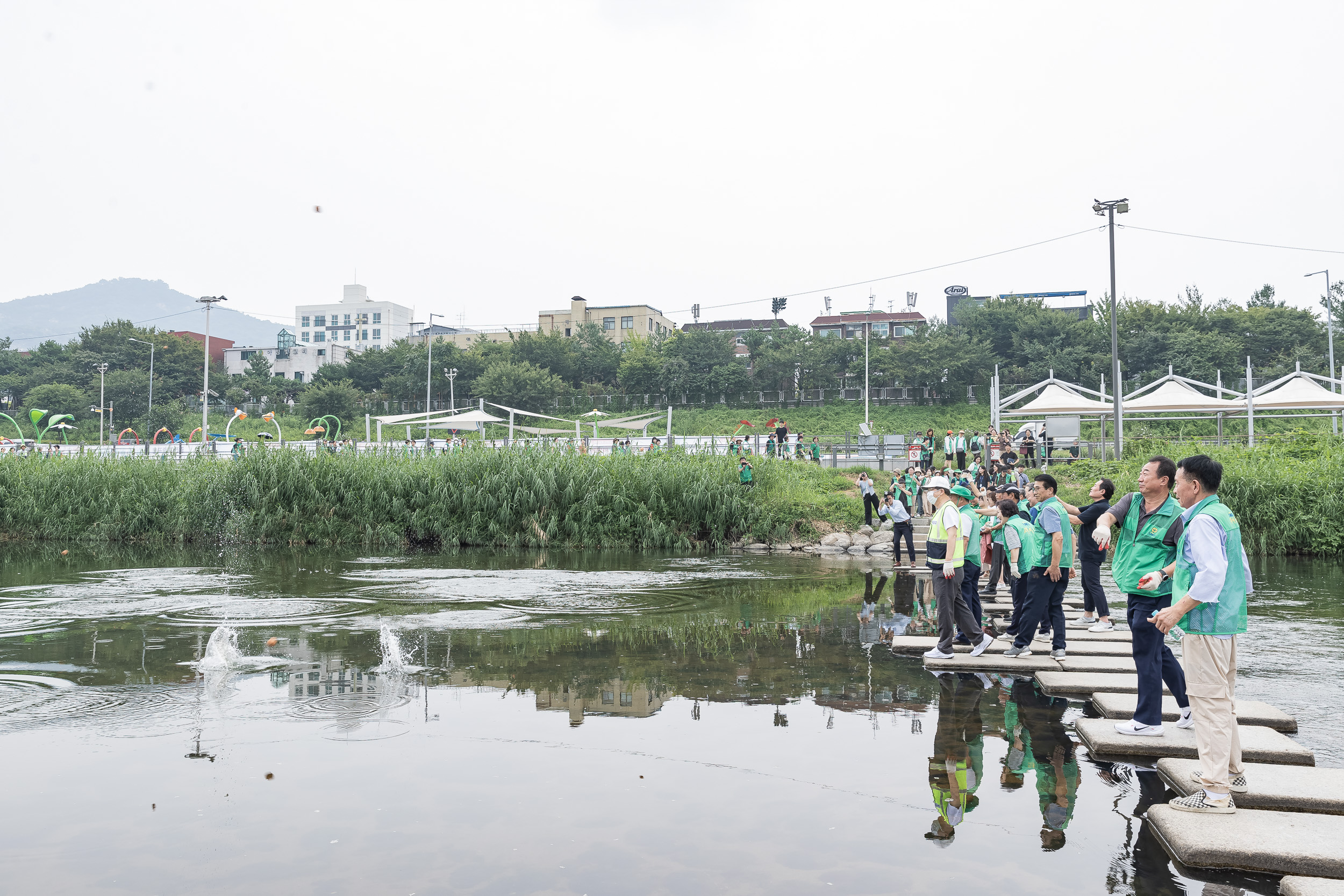 20240826-광진구새마을회 생명운동실천 중랑천변 환경정화활동 240826-0346_G_205825.jpg