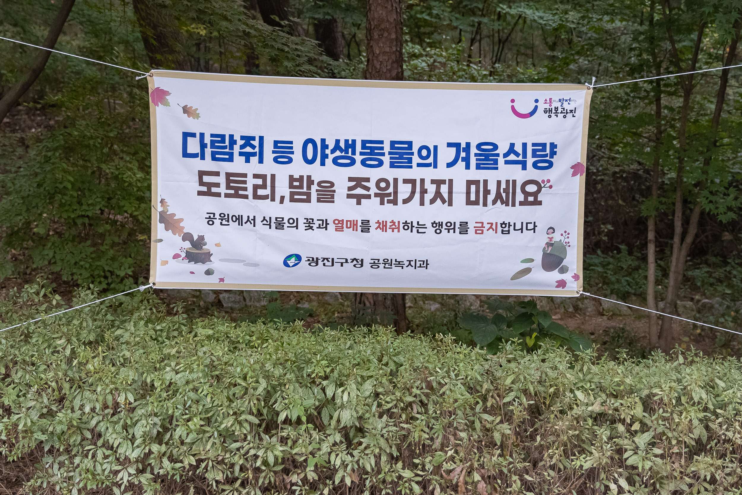 20241012-제36회 아차산 산제 241012-0004_Gm_180528.jpg