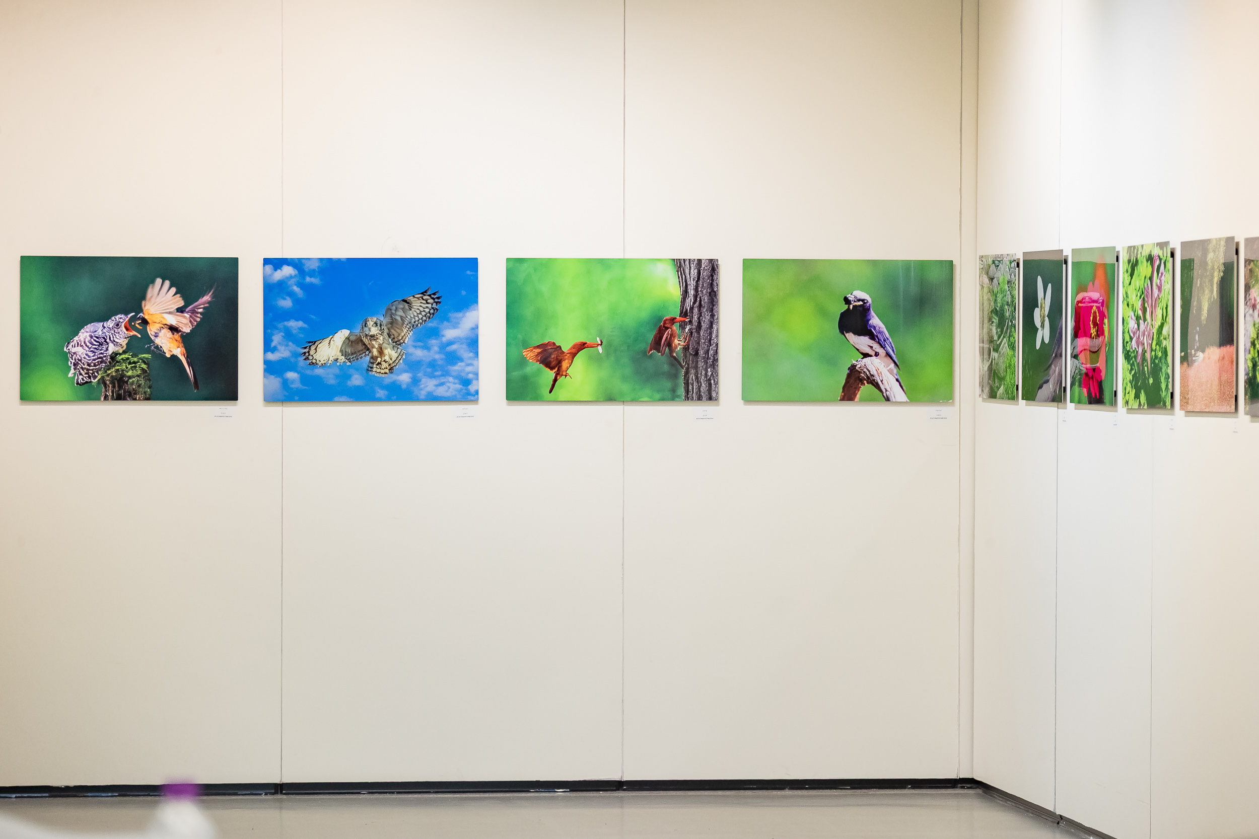 20251016-2025 제30회 광진예술인초대전 20251016-58277_L_202816.jpg