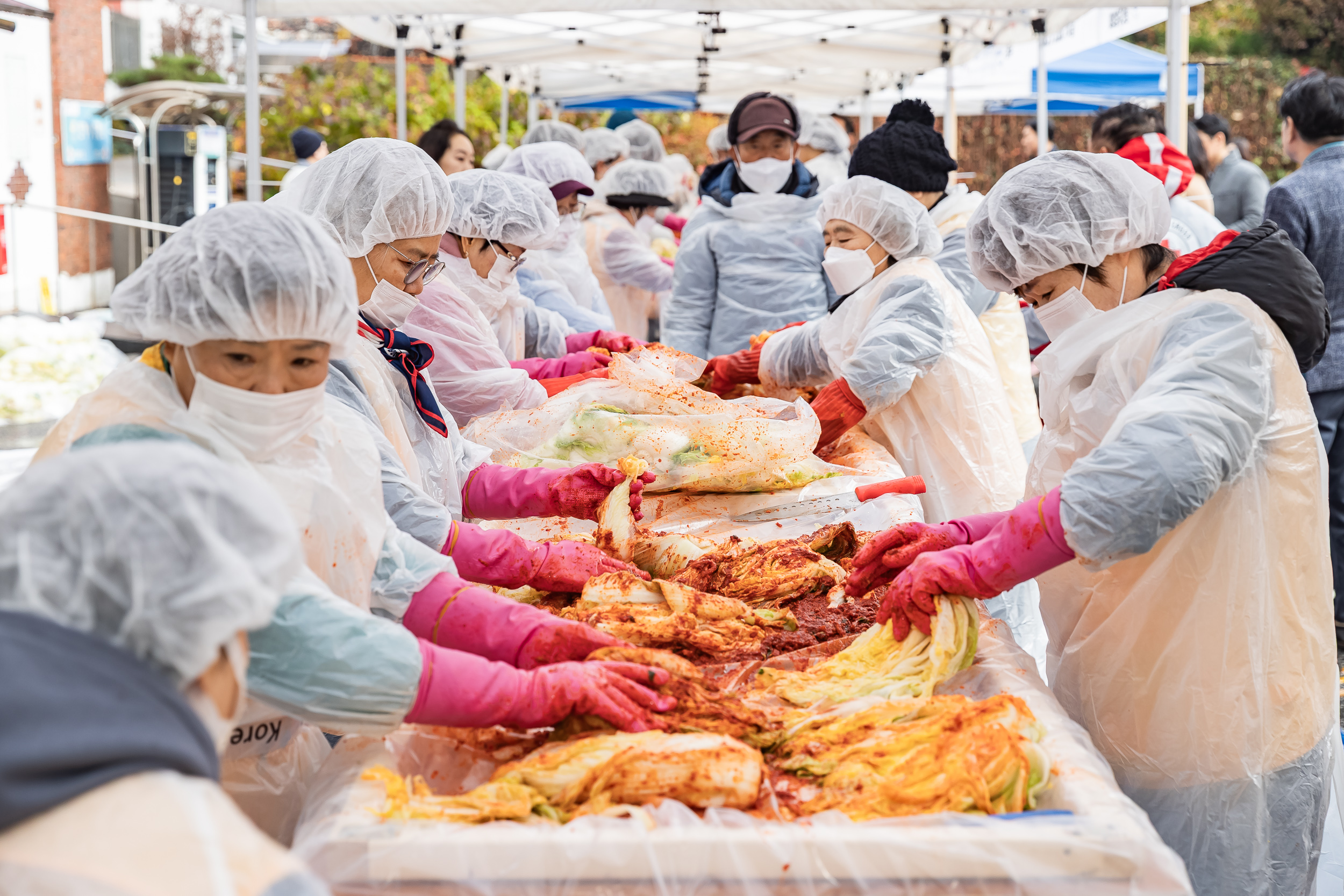 20251125-적십자봉사회 광진구협의회 가온 김장김치 나눔행사 20251125-13734_L_191828.jpg