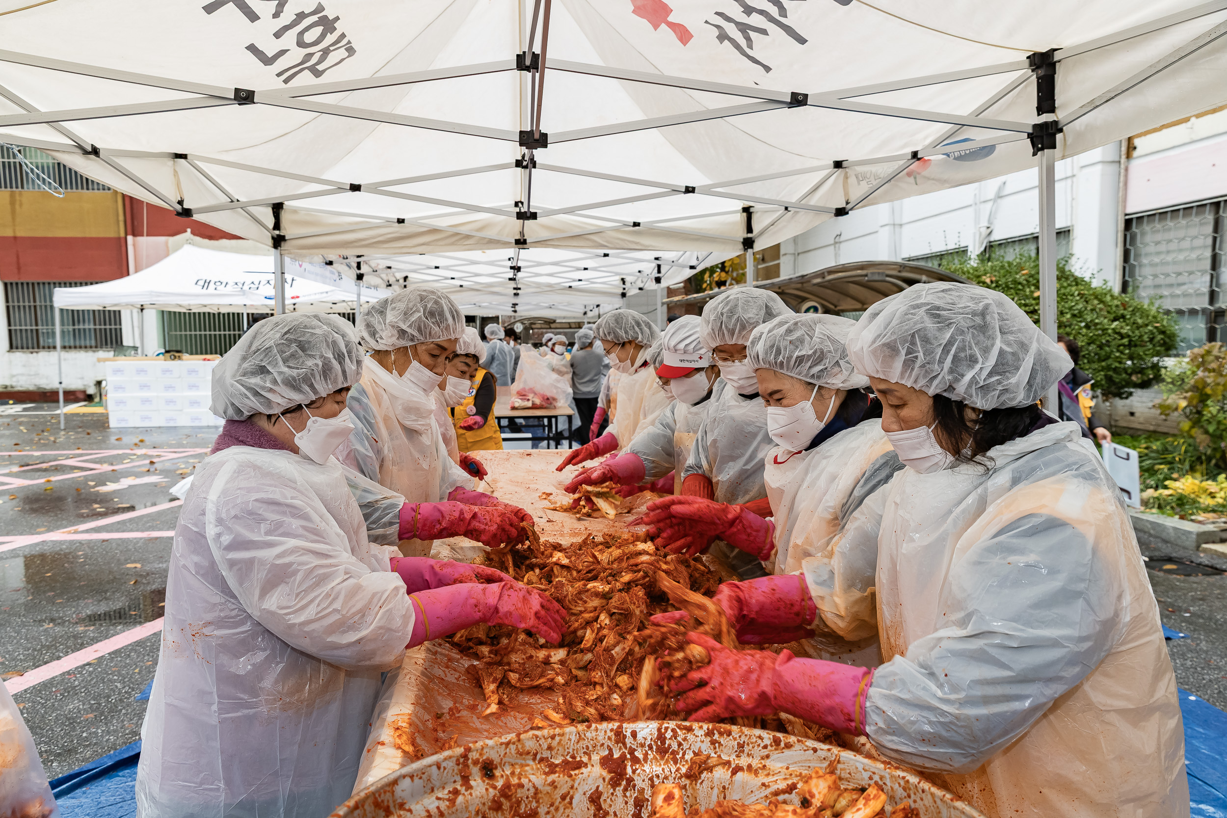 20251125-적십자봉사회 광진구협의회 가온 김장김치 나눔행사 20251125-13867_L_191829.jpg