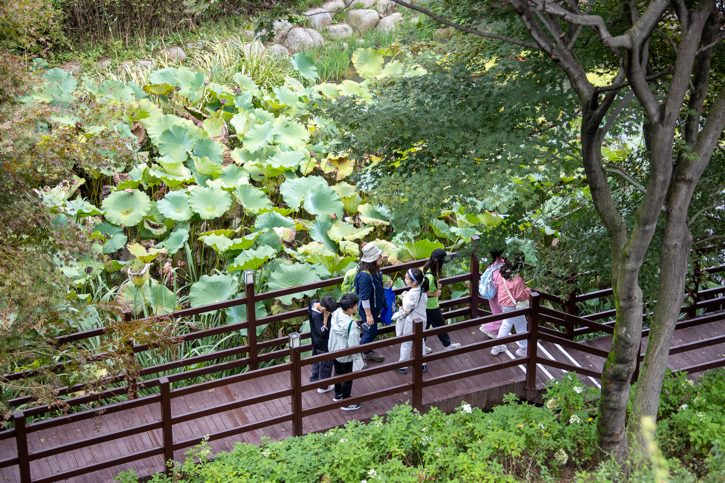 20251012-가을날 아차산숲속 야외도서관 20251012-54223_L_154443.jpg