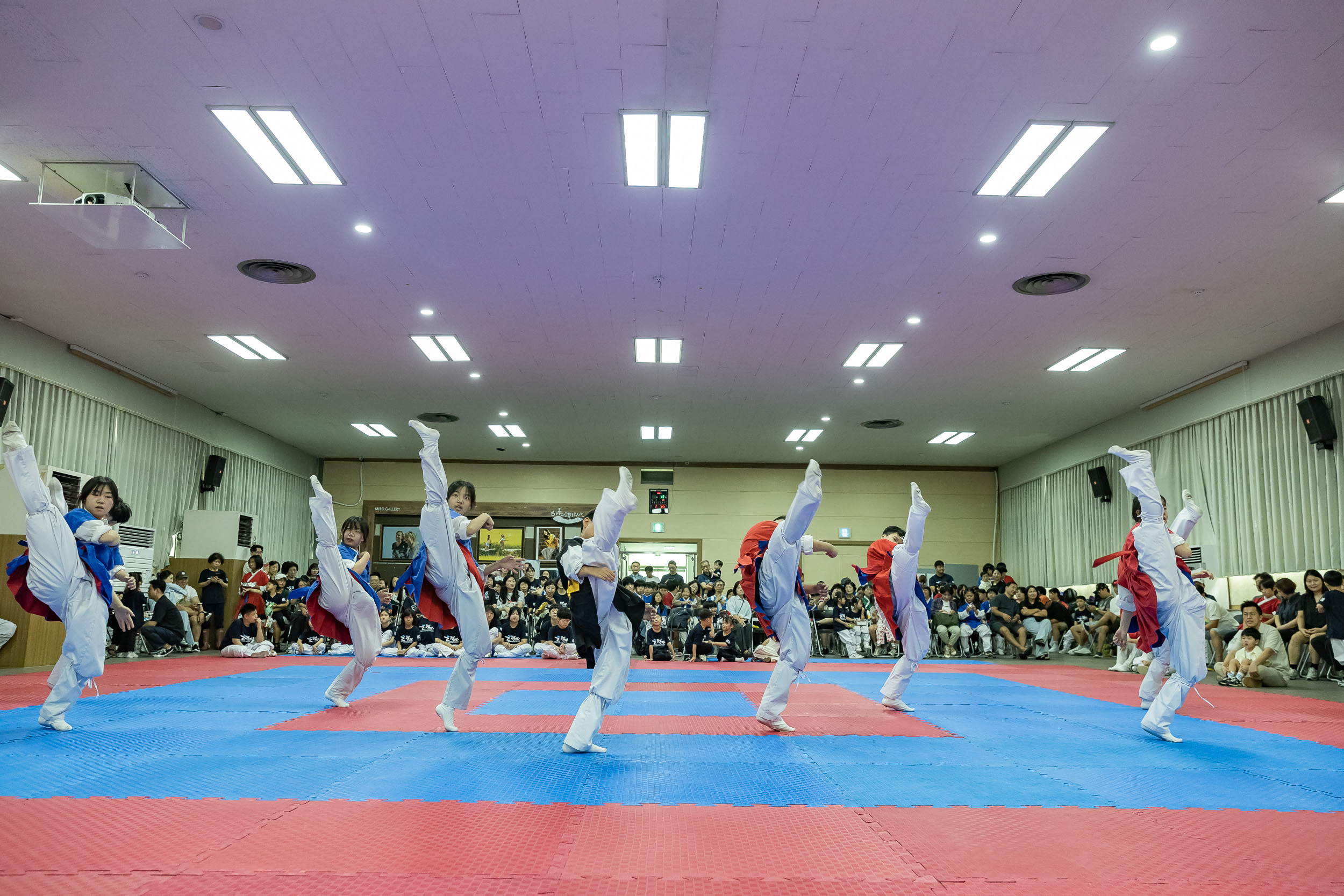 20250913-제2회 광진구청장기 택견대회 20250913-25534_G_170126.jpg