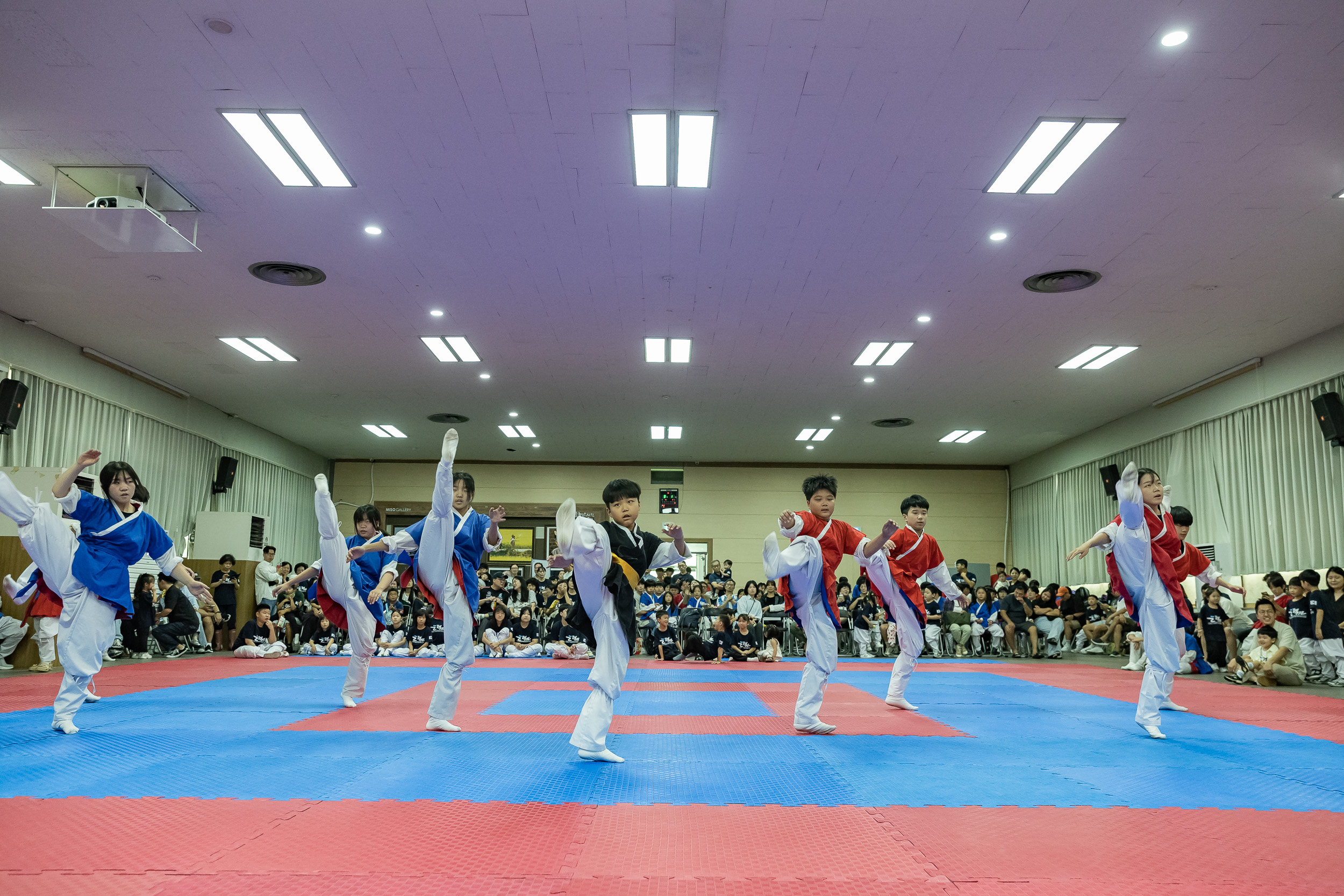 20250913-제2회 광진구청장기 택견대회 20250913-25542_G_170126.jpg