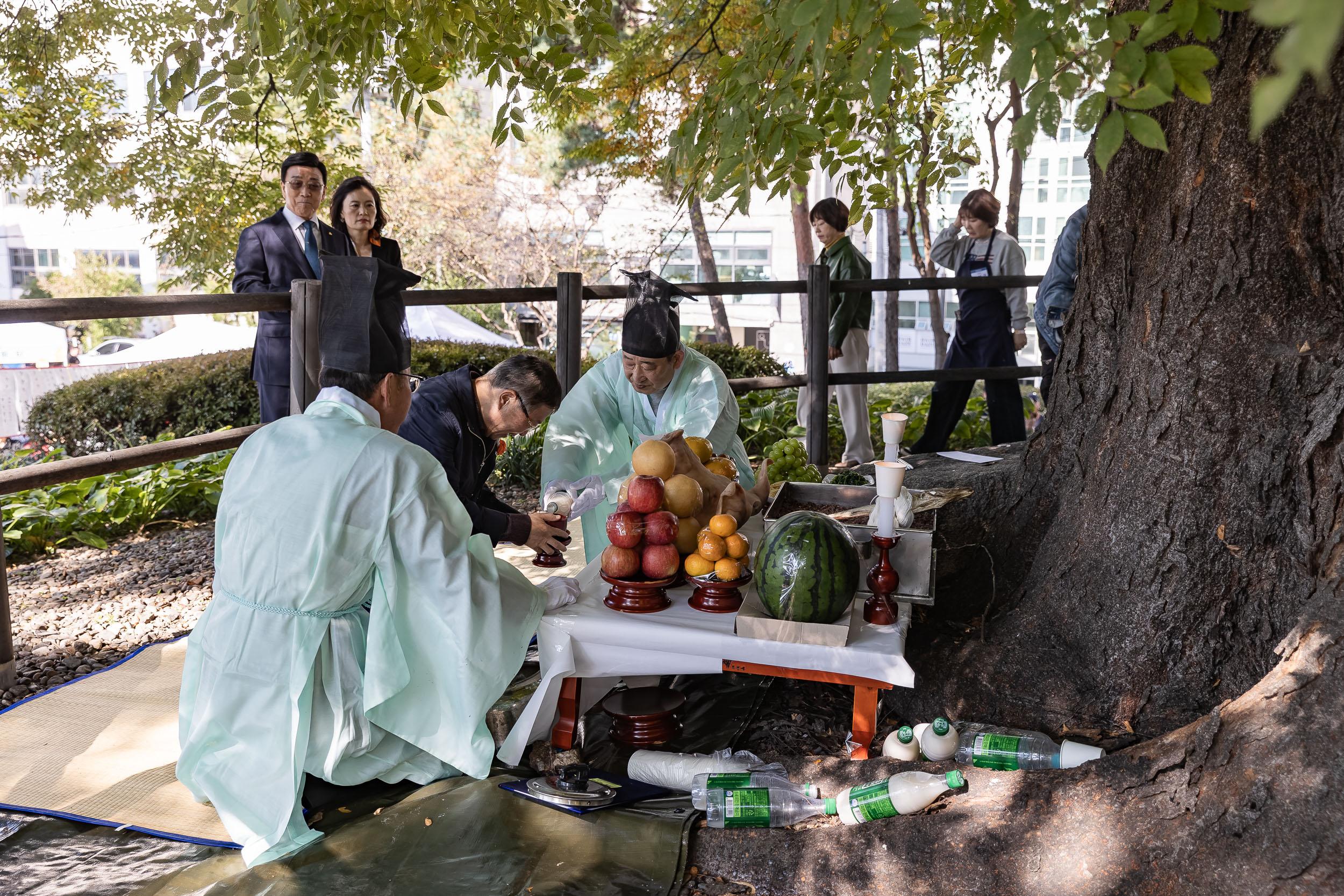 20251101-제12회 느티마을 한마당 20251101-79733_L_091819.jpg