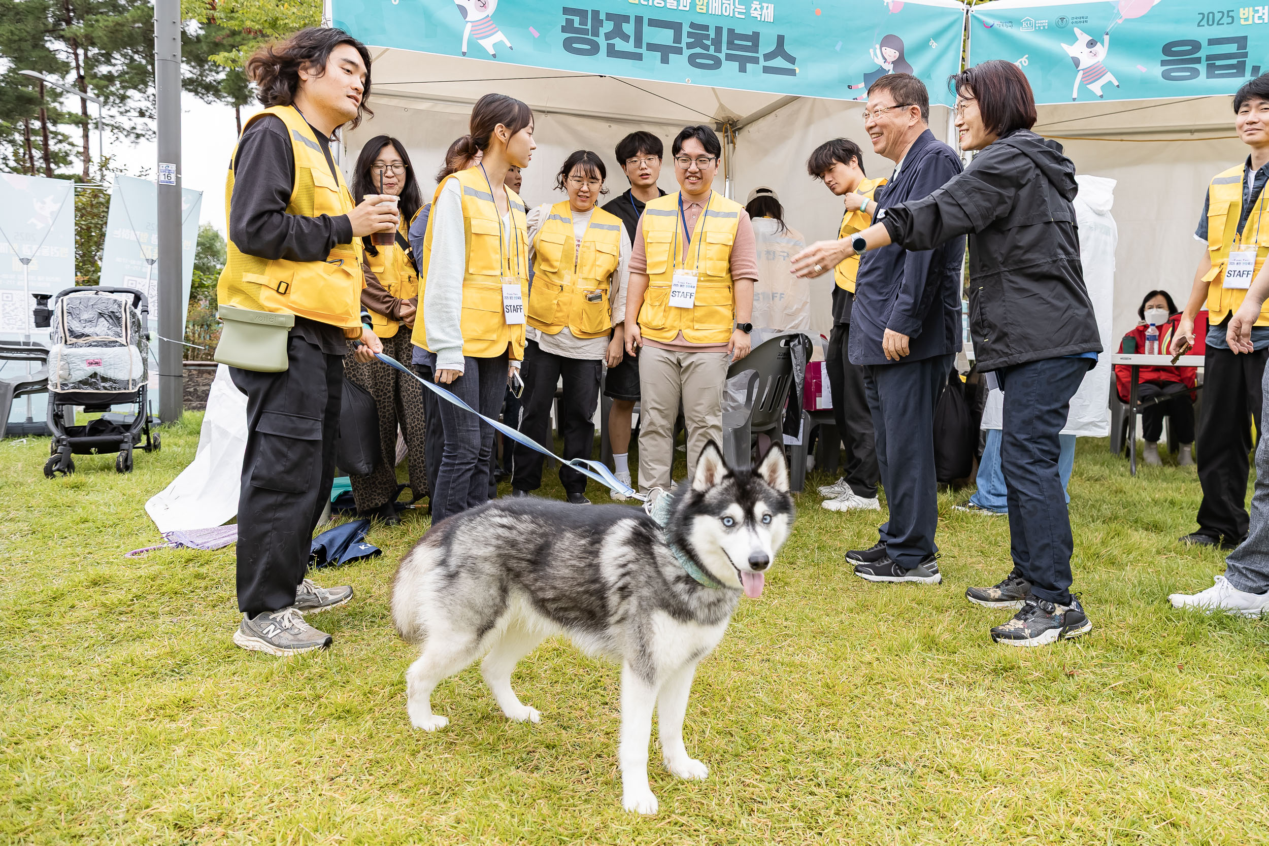 20250928-2025 반려동물과 함께하는 축제 20250928-48889_L_174407.jpg