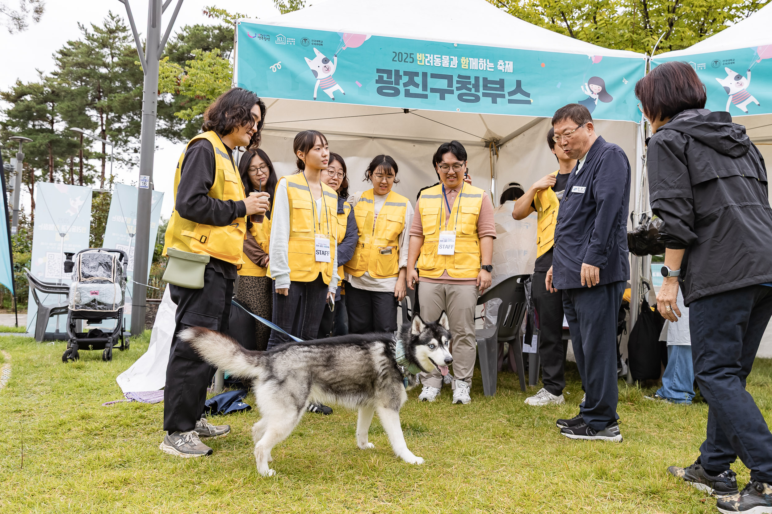 20250928-2025 반려동물과 함께하는 축제 20250928-48894_L_174407.jpg