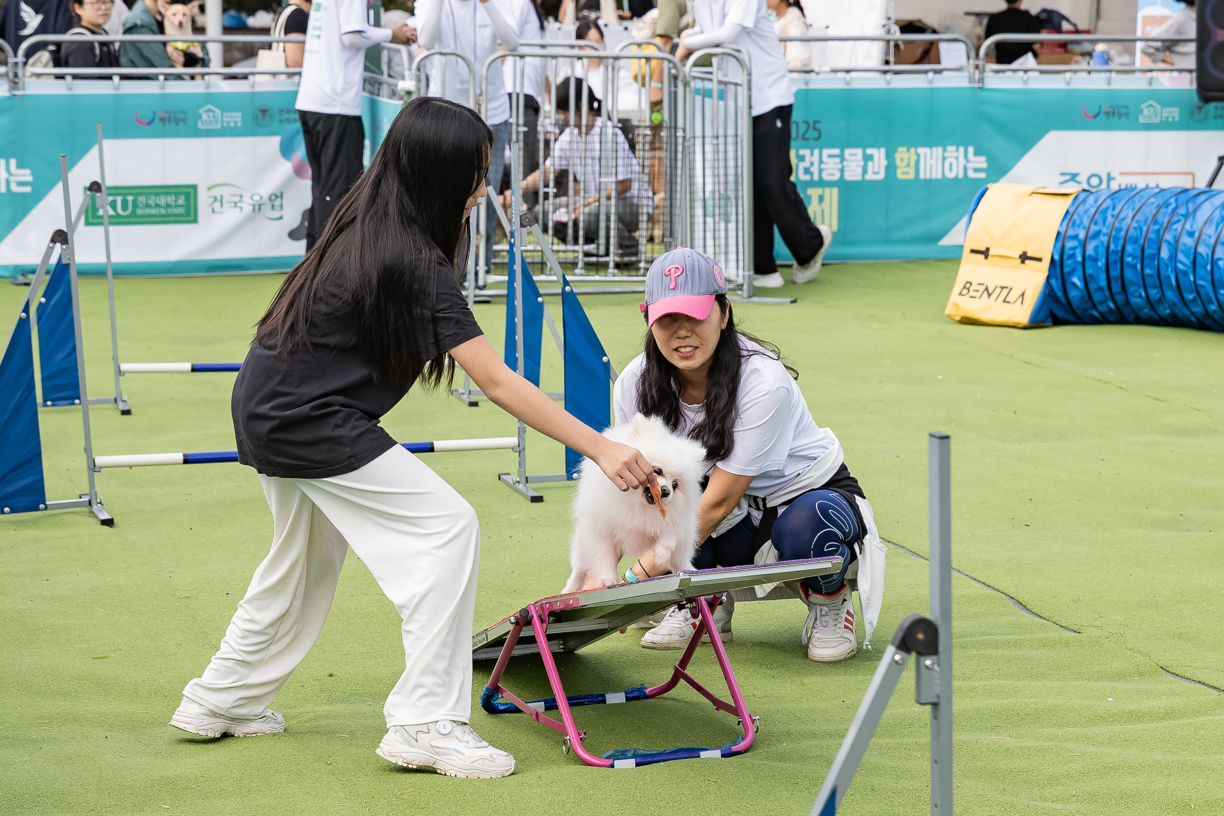 20250928-2025 반려동물과 함께하는 축제 20250928-49298_L_174409.jpg
