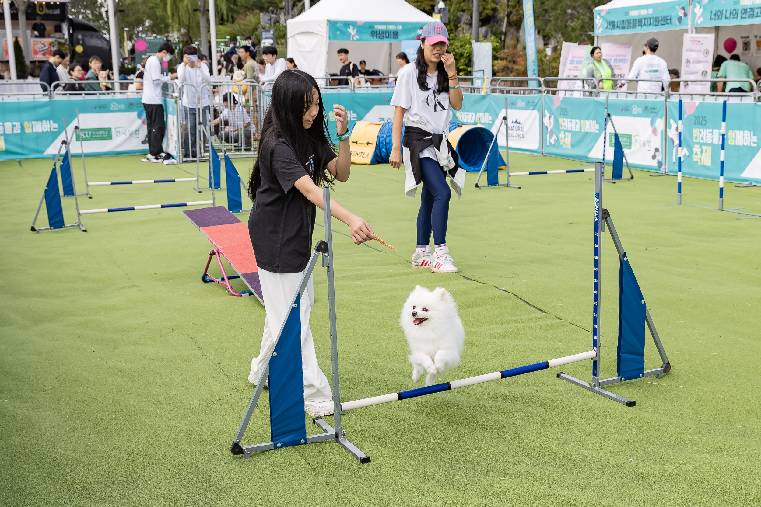 20250928-2025 반려동물과 함께하는 축제 20250928-49305_L_174409.jpg