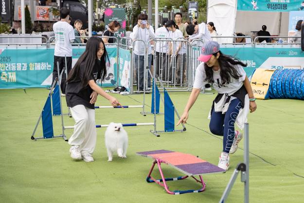 20250928-2025 반려동물과 함께하는 축제